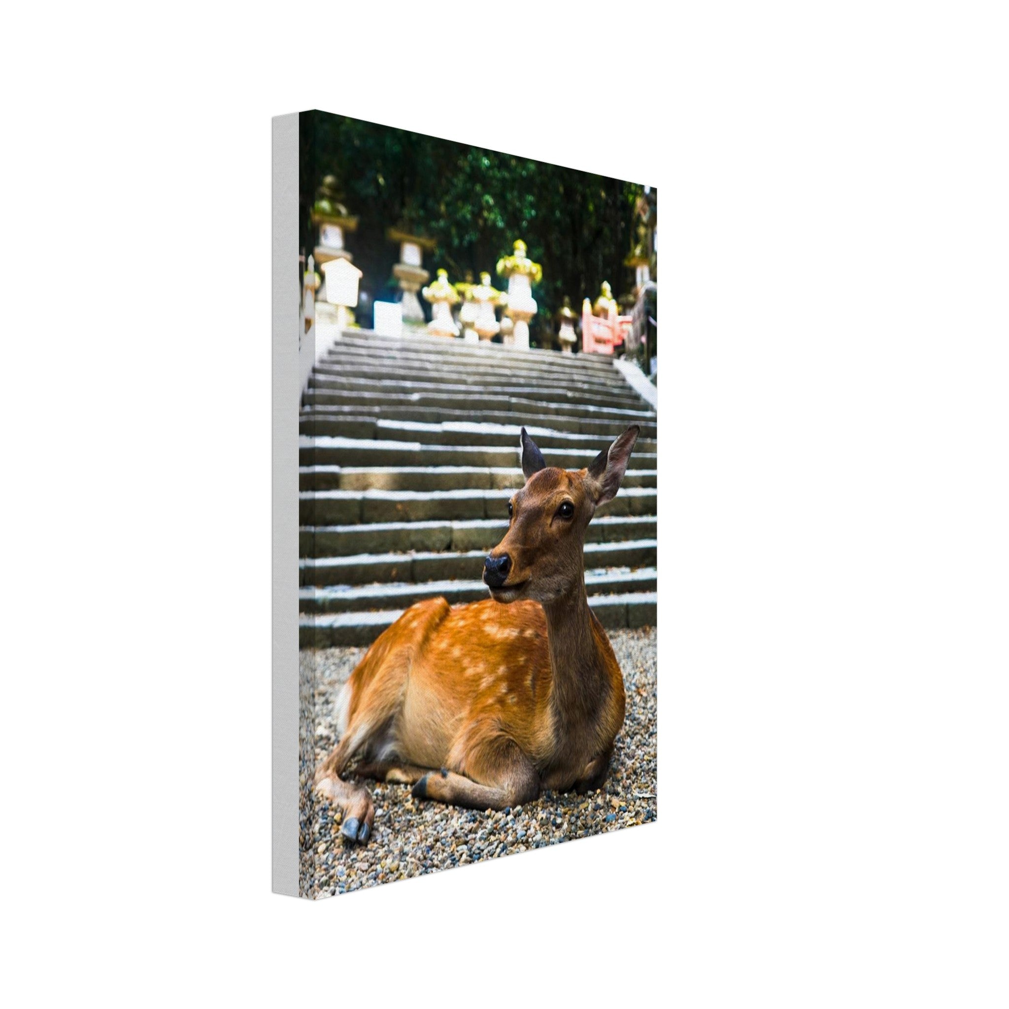 5742ef69-9e35-47a7-bff8-df8050ef8298