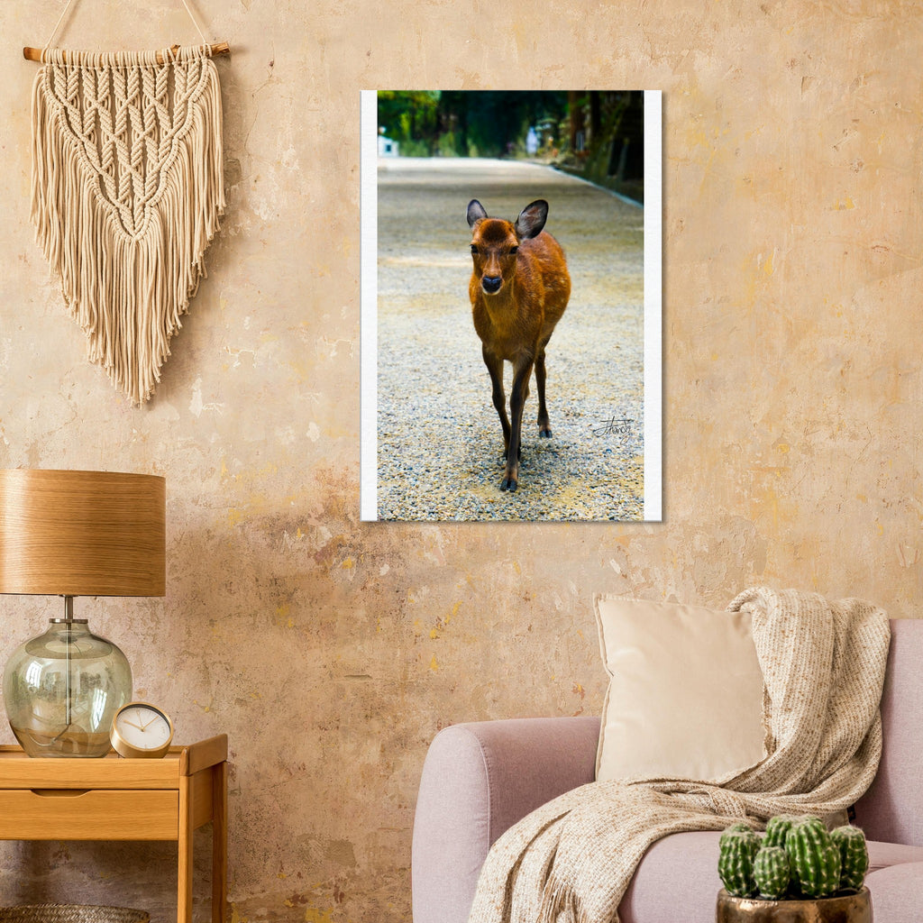 57e6c789-39b4-4d20-aafa-711ea8f08ff2