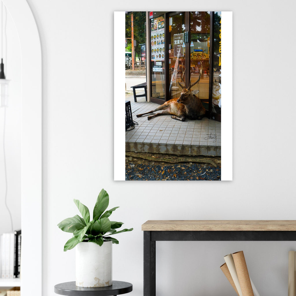 58e4f226-c68b-4091-931a-bb72682c1b0d