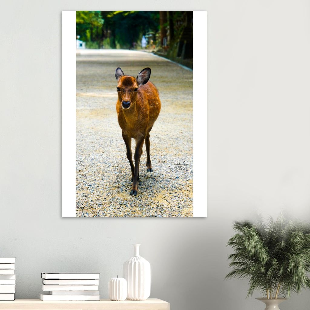 597ee3e2-04fa-4573-85f6-71a66396c6be