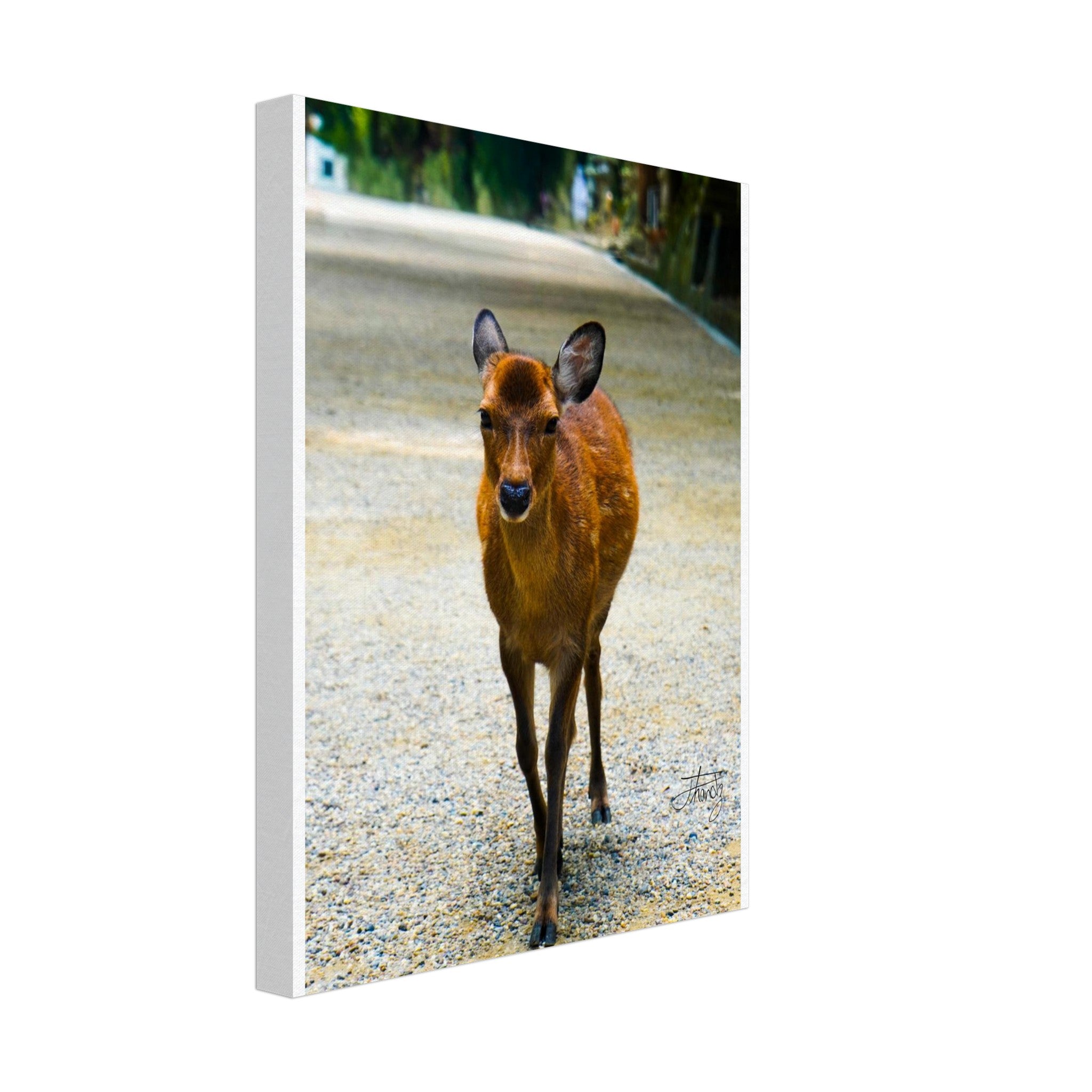 5bc2e405-df0c-4574-bdb2-4a382aaca128