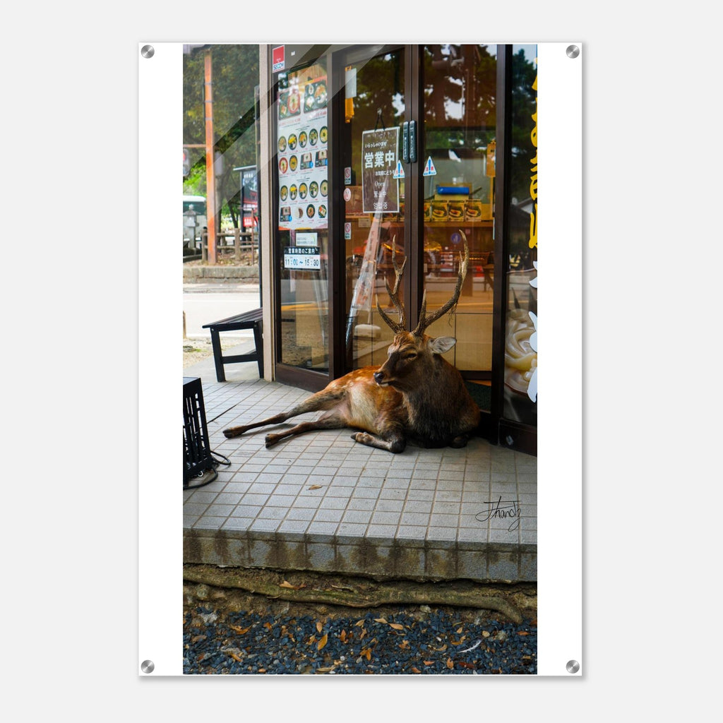 5f2f9417-35d7-46fc-b623-546eecbd38b9