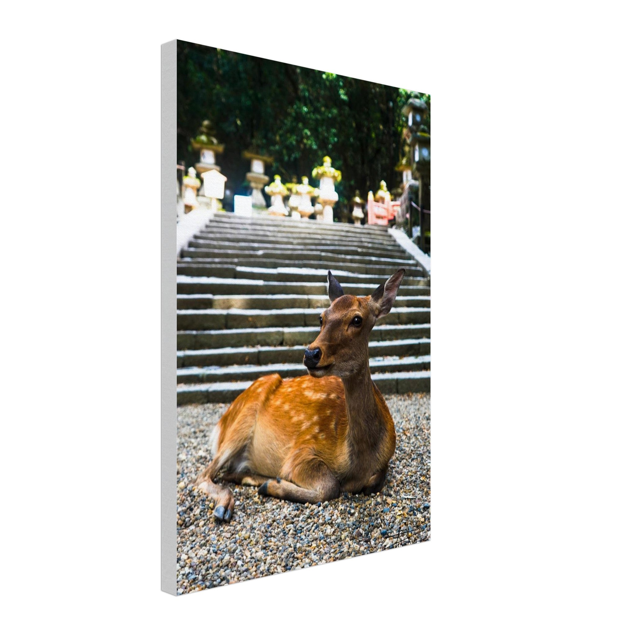 5f90a75d-7e20-4d90-9d61-3c3788bb0cc3