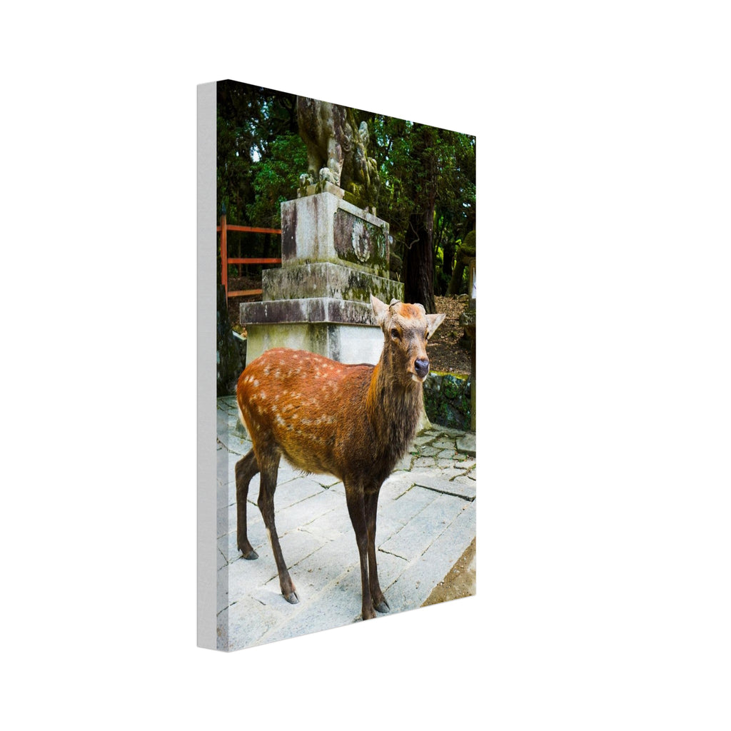 60e0dacd-2382-4a8c-8375-8581afe131b4