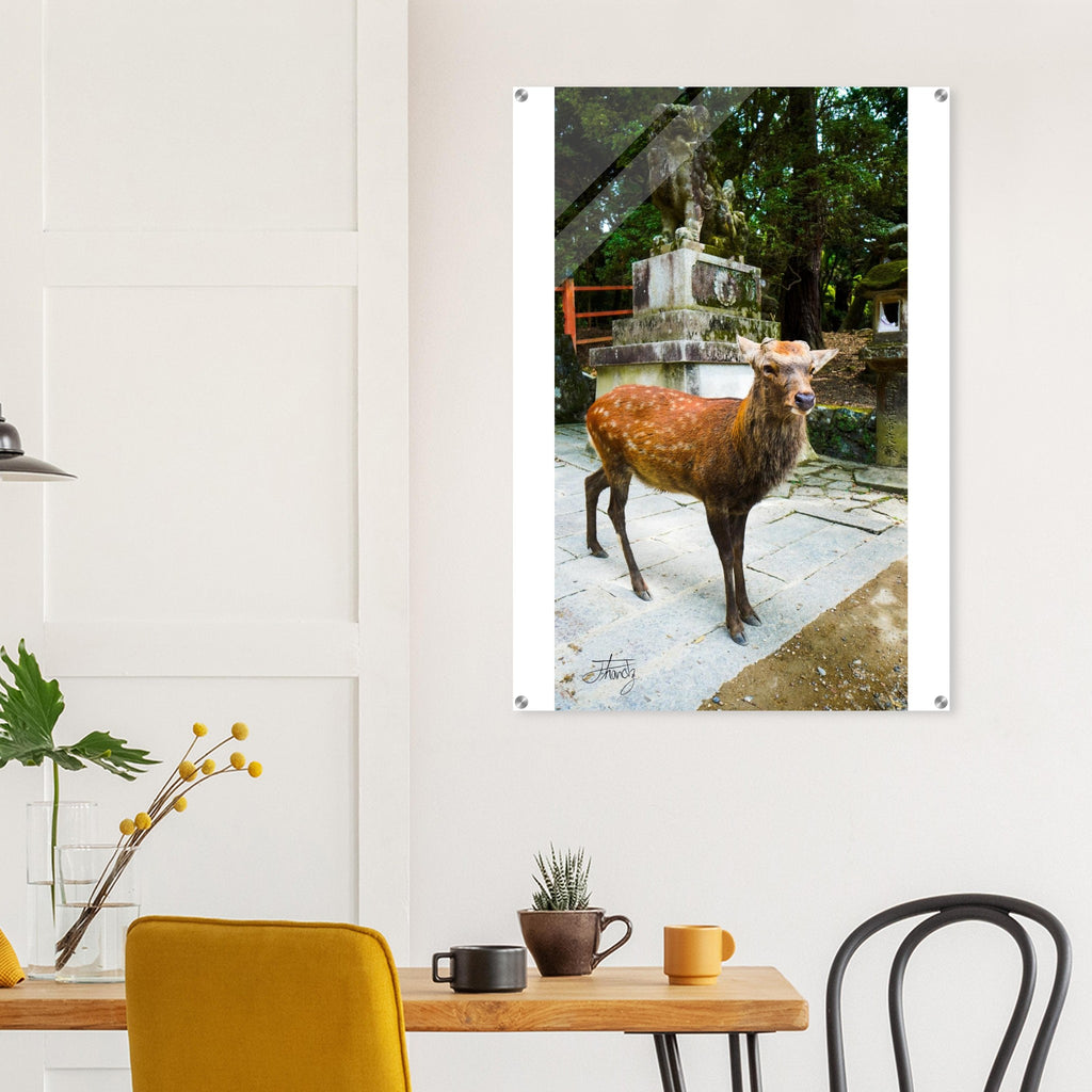 63735294-a89e-4cd9-ab33-568a1e994b93