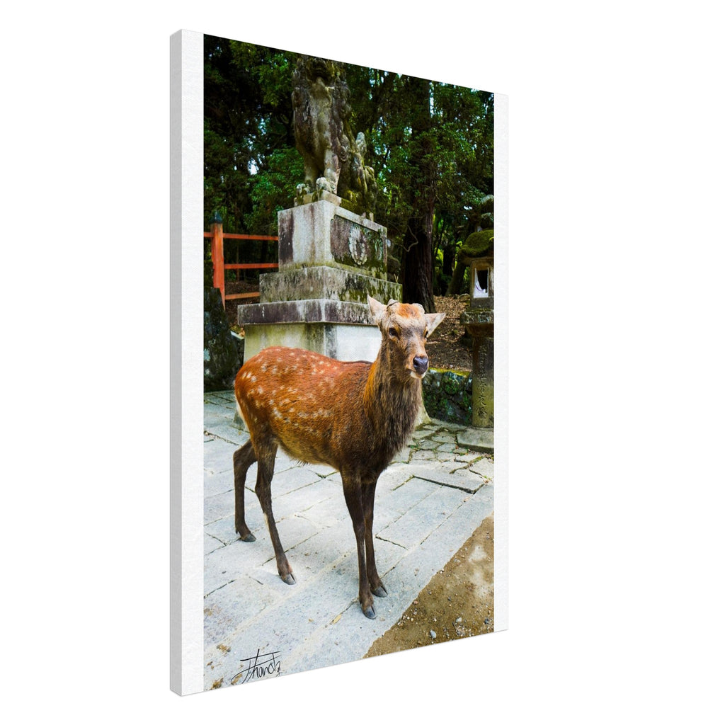 646ea7d9-54c7-44e5-9689-b0a8e87a7985