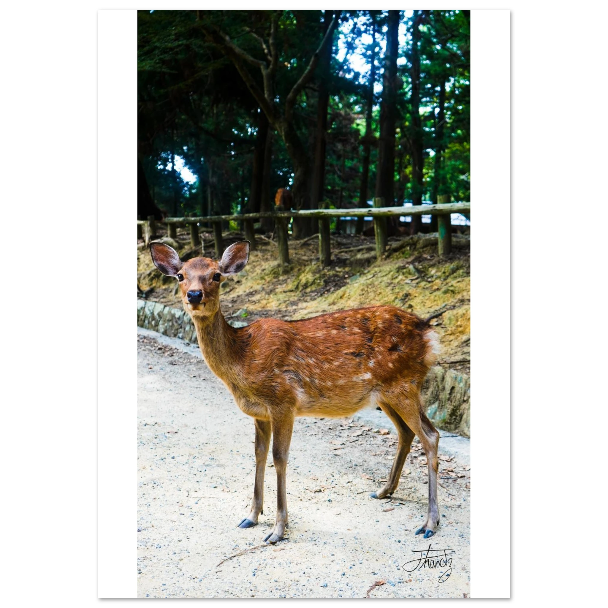 65139894-7fc1-45c4-8a56-88fc63df63c4