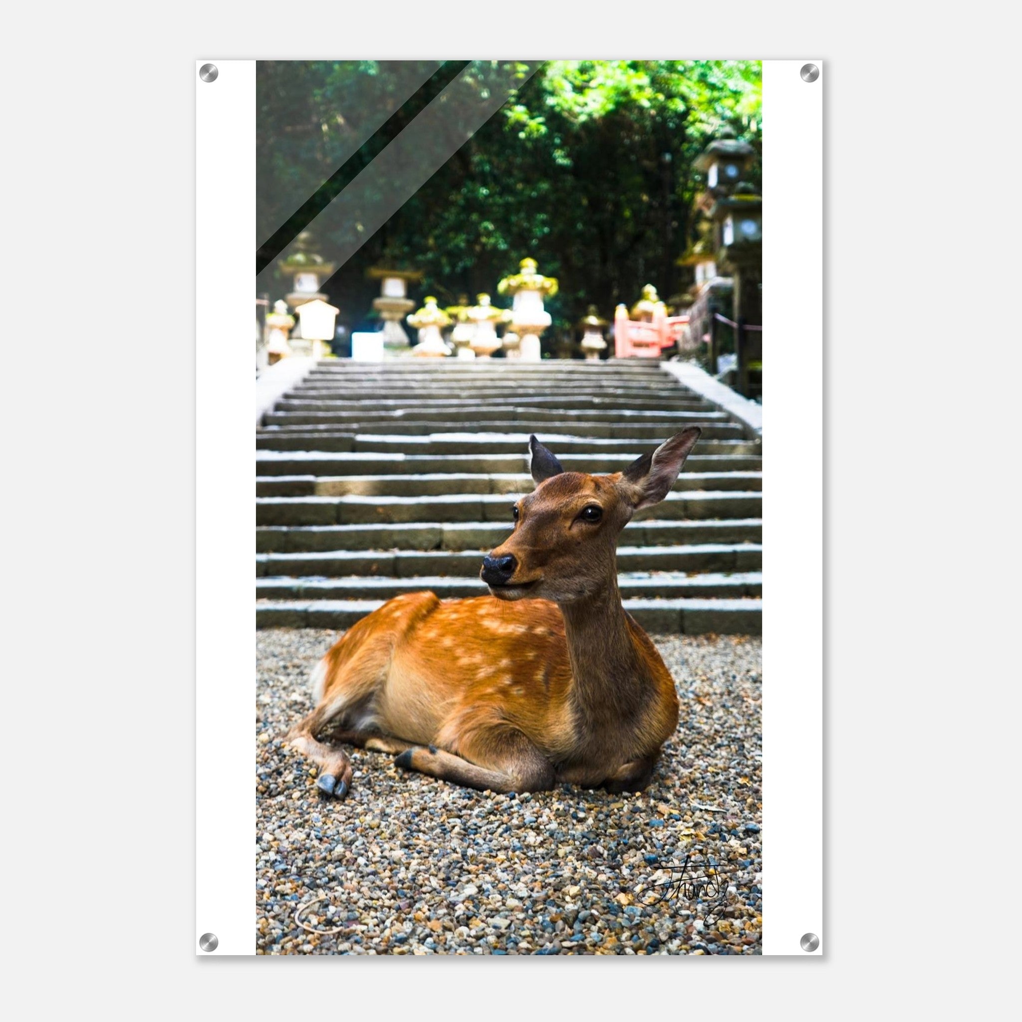 66d4f194-fe8a-4ceb-a798-3ec9b2e4ffb3