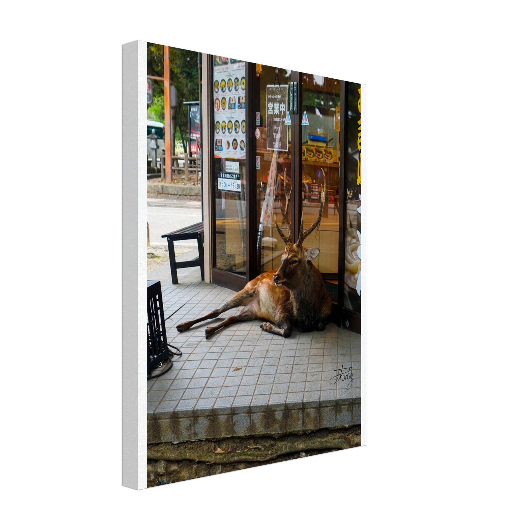 685d6ceb-0fa1-4e91-8275-13b0ec1d567f