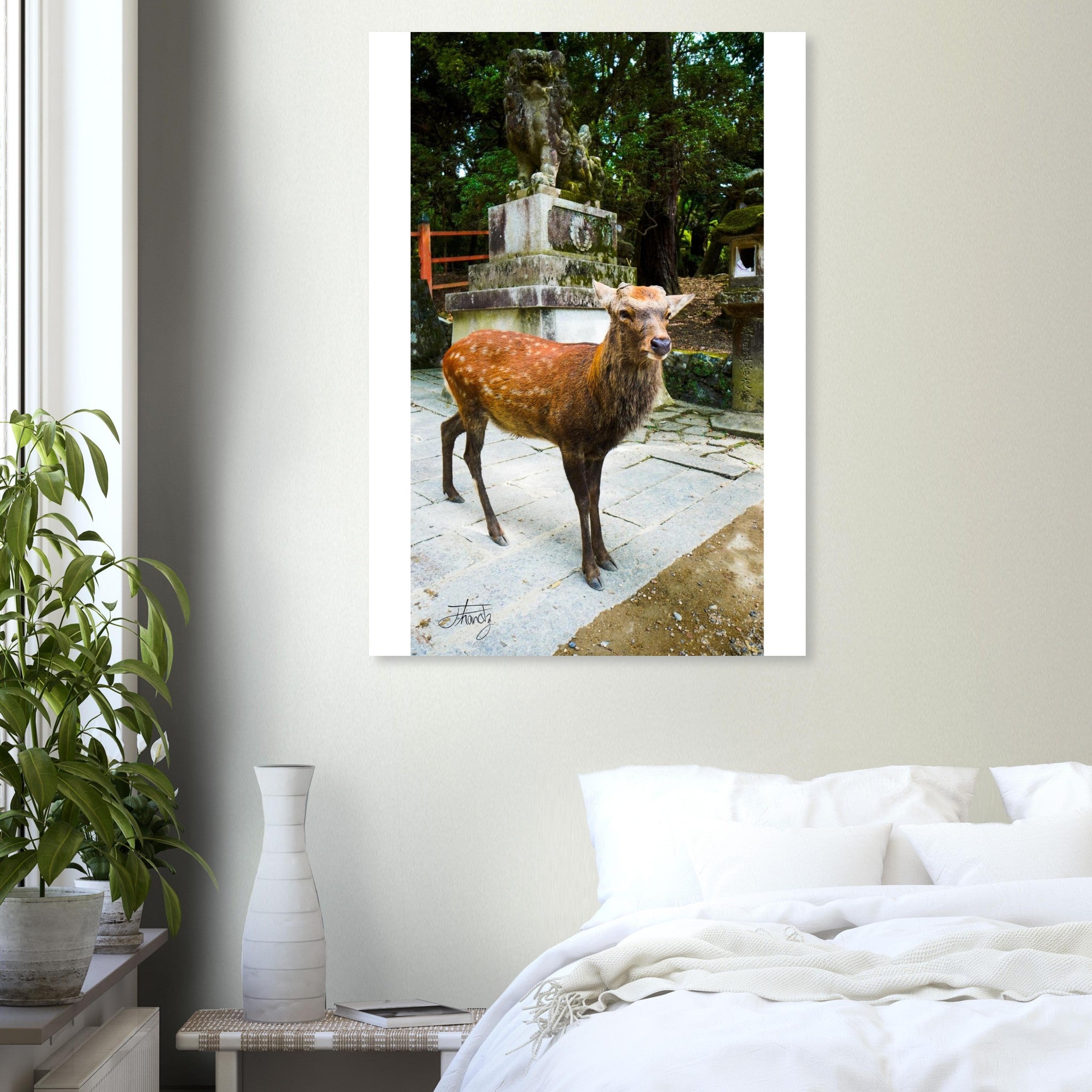 6b82c4dd-582b-4a26-bc61-46775065cb2d