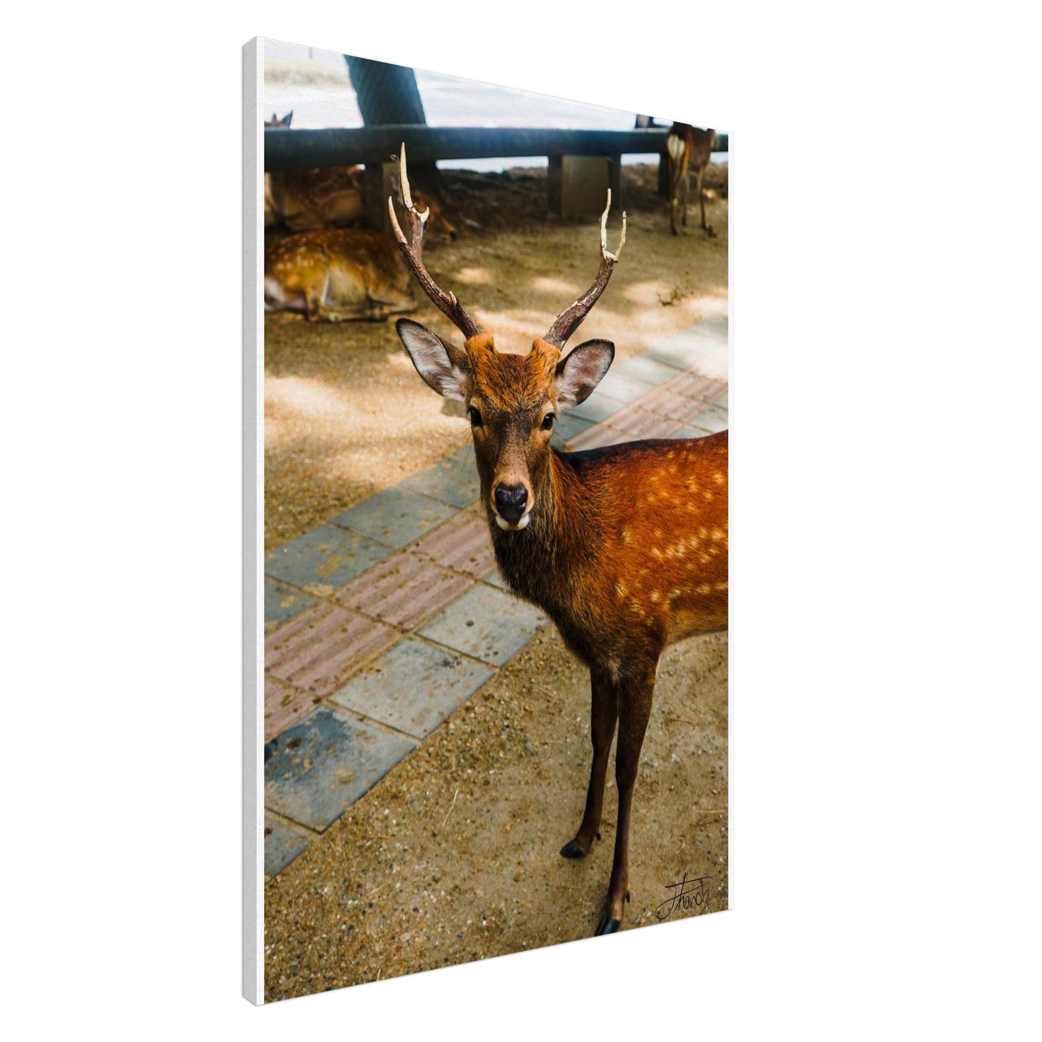 6dd873a5-4d1d-49e4-b984-dfbaf2aeed3e