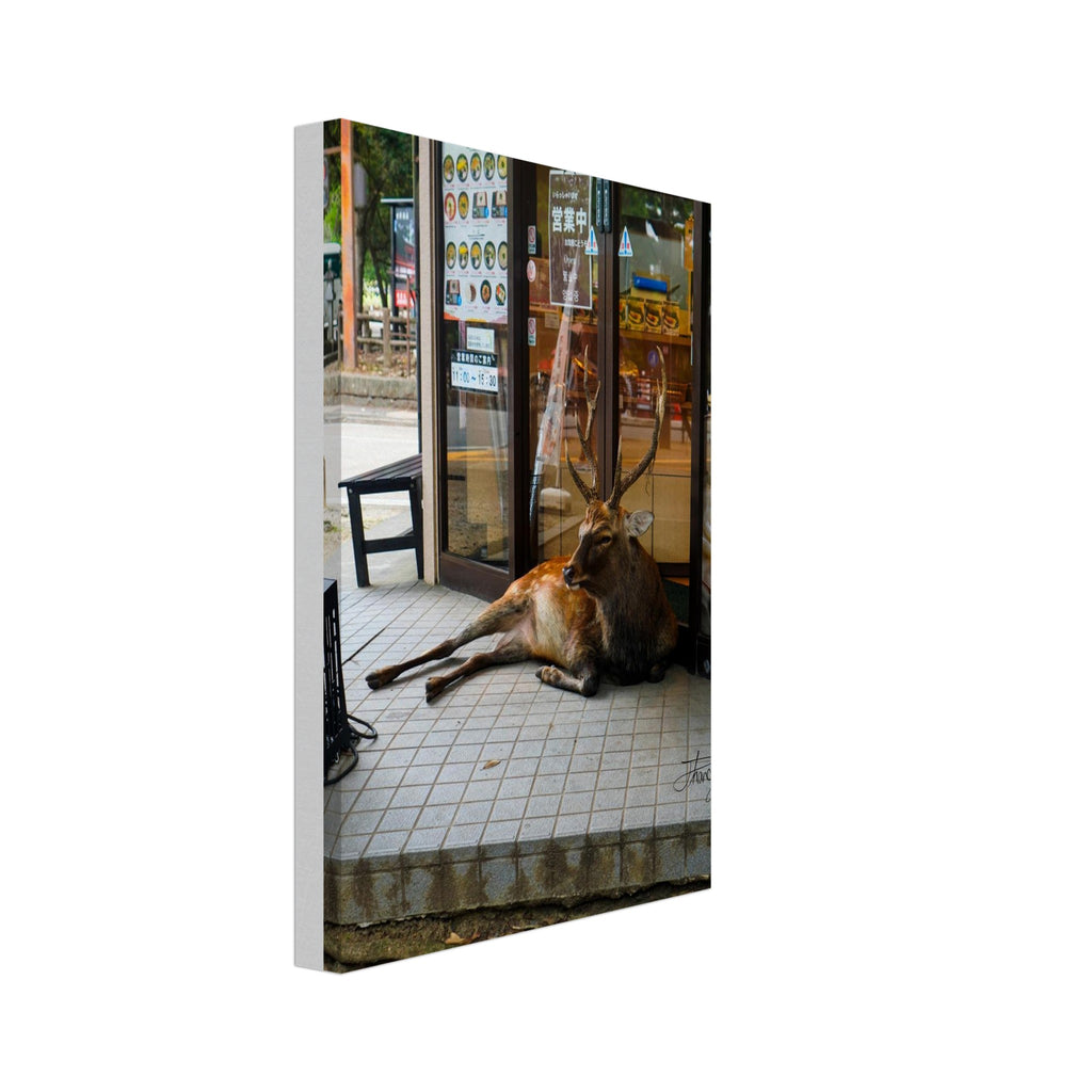 6deaf0eb-576b-4474-81b2-36a82d8eb8cb