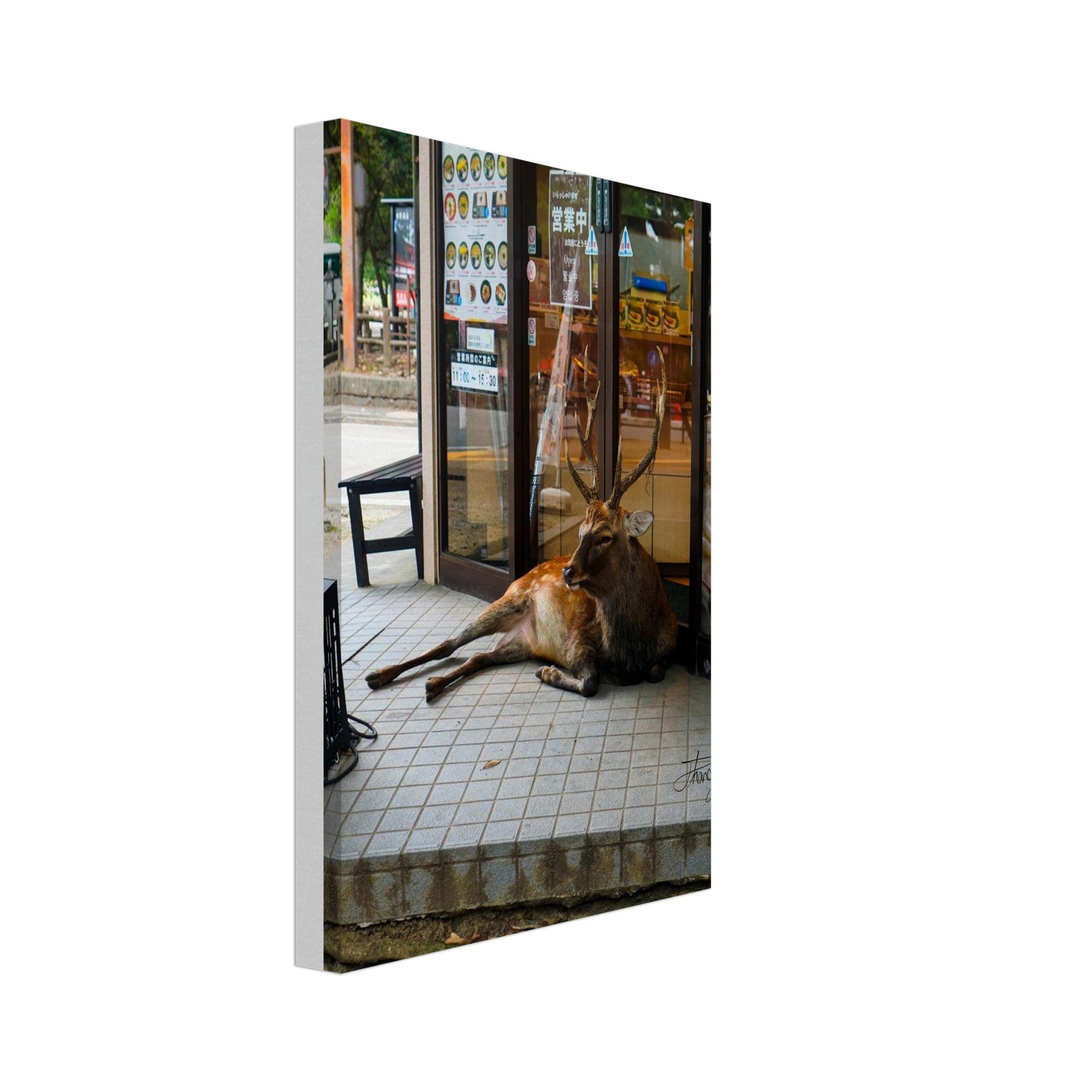 6deaf0eb-576b-4474-81b2-36a82d8eb8cb