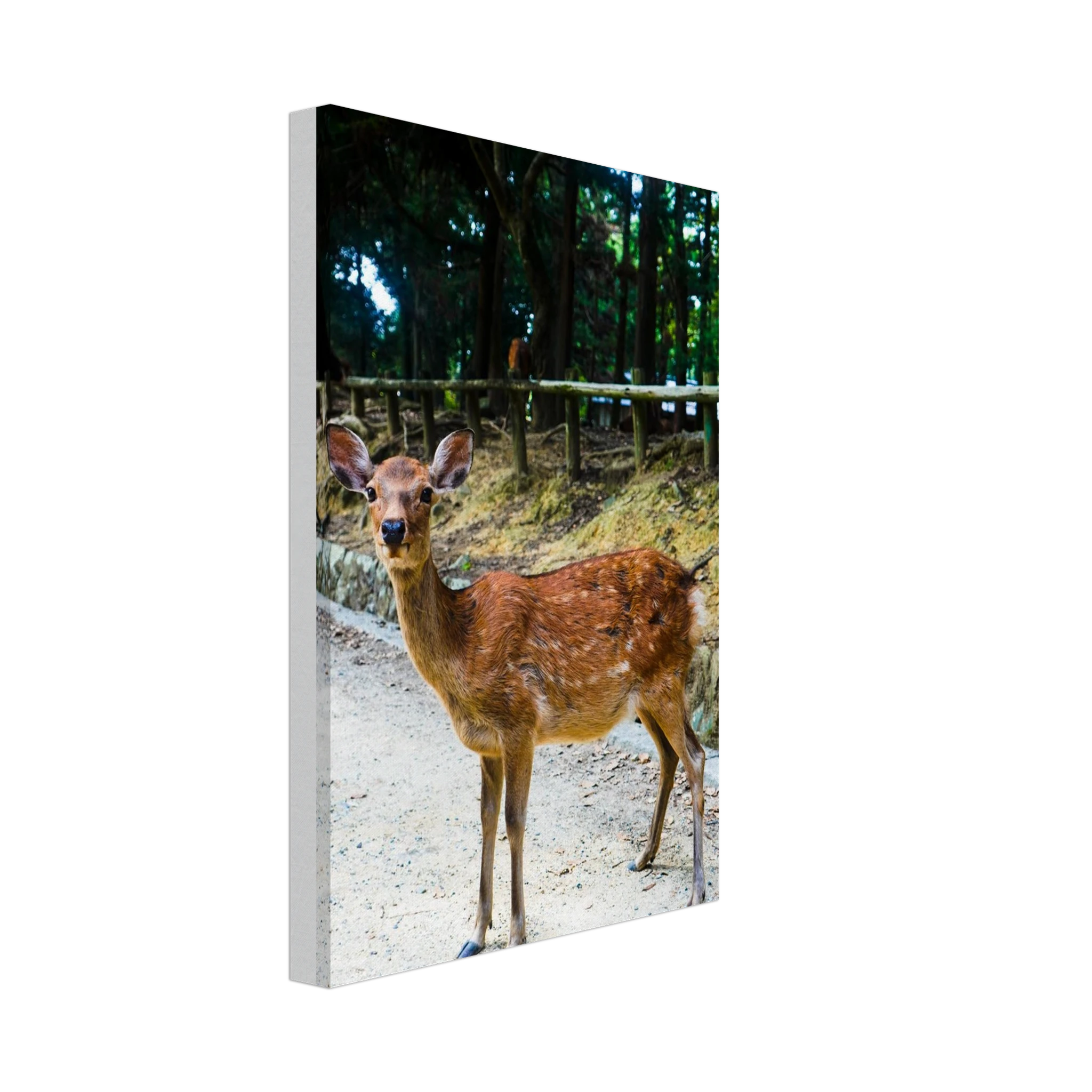 6f6117ce-5976-40f7-9e50-d7ee68a780fc