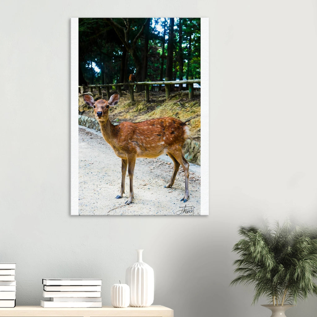 706e4b6c-1a59-40ab-a616-3cc167dd6aca