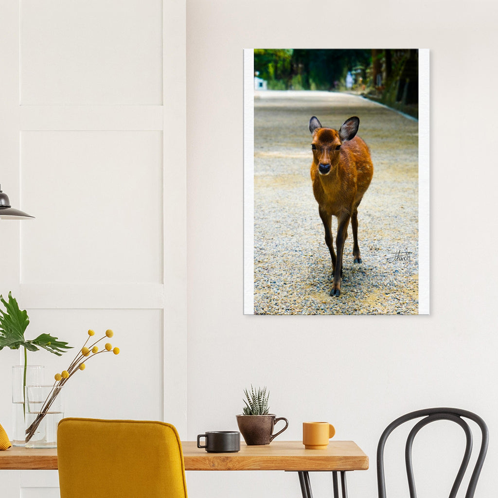 70d1c379-3d6f-4094-ba67-c43556a721f8