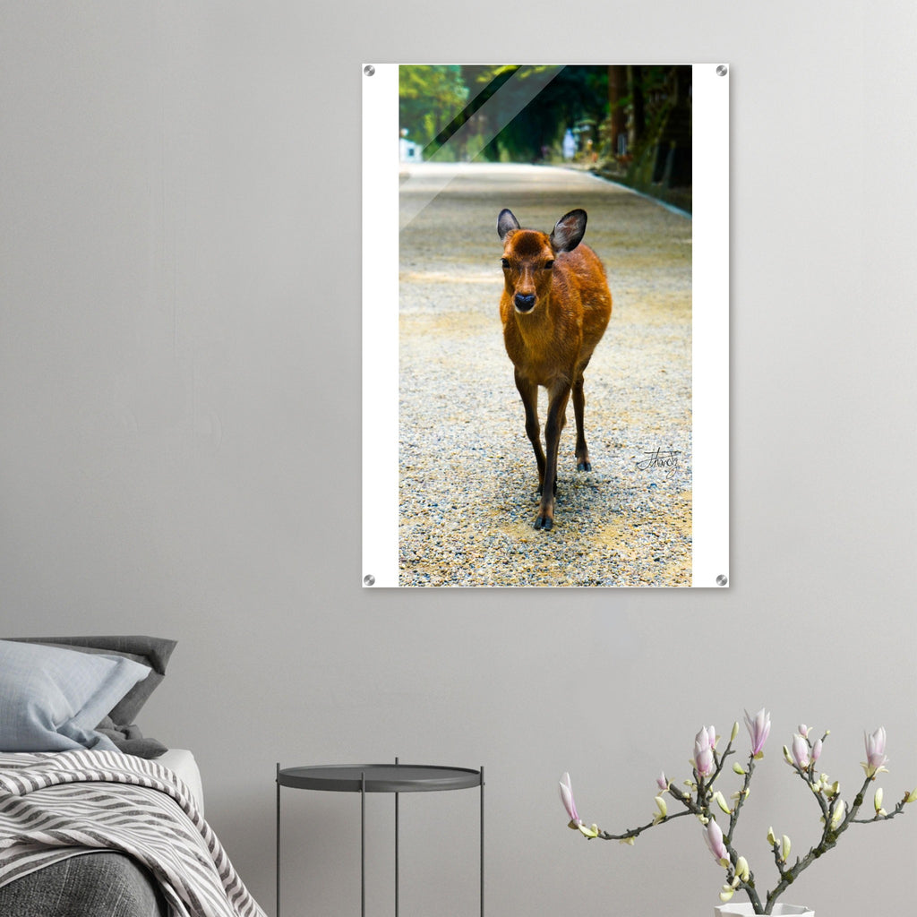 74161c13-2ece-4f9f-aa93-0000a95909f3