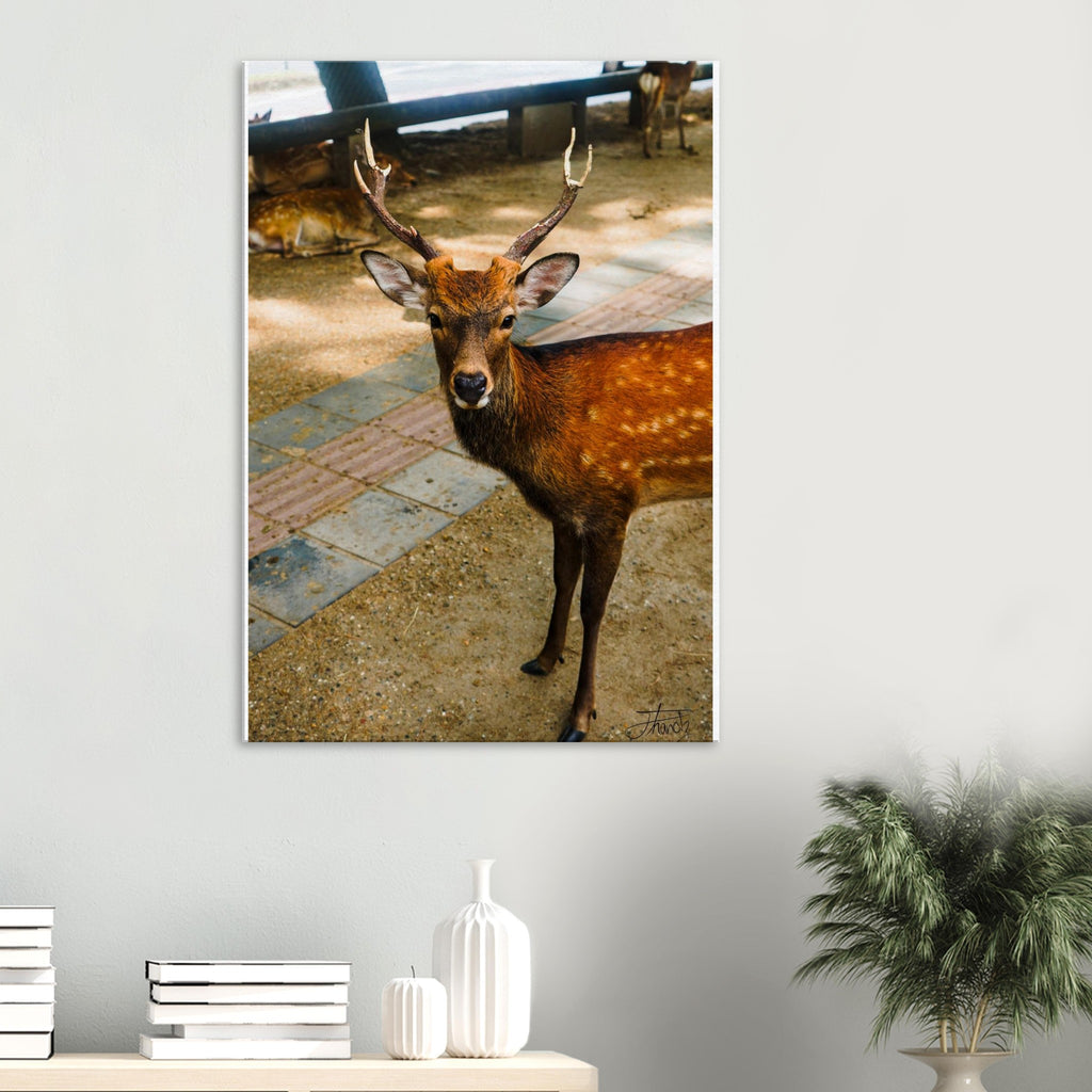 7511b0cf-2a5b-452e-b2da-97a2eaf935c1