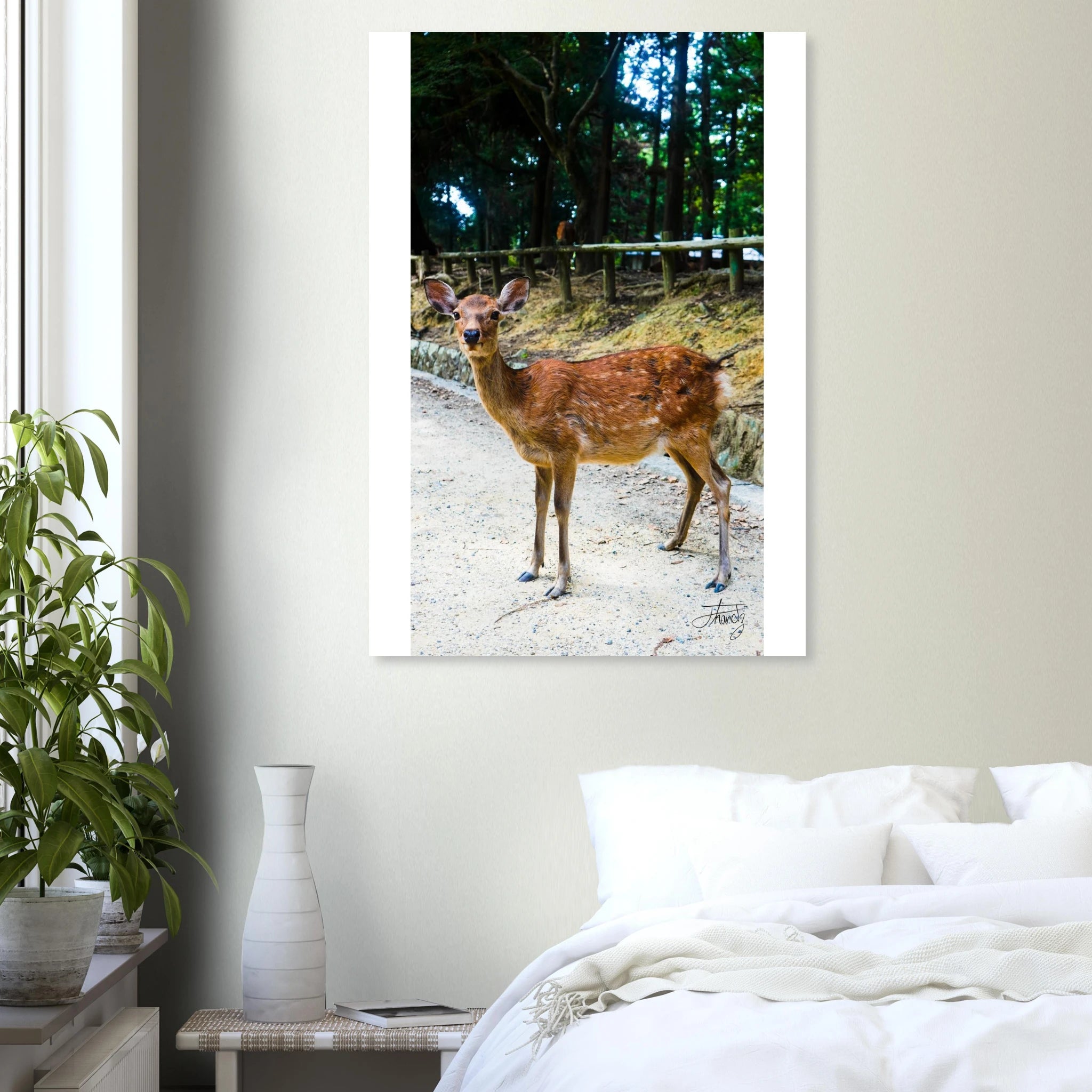 7557313b-70e6-4042-a7ef-8d136cc24ad0