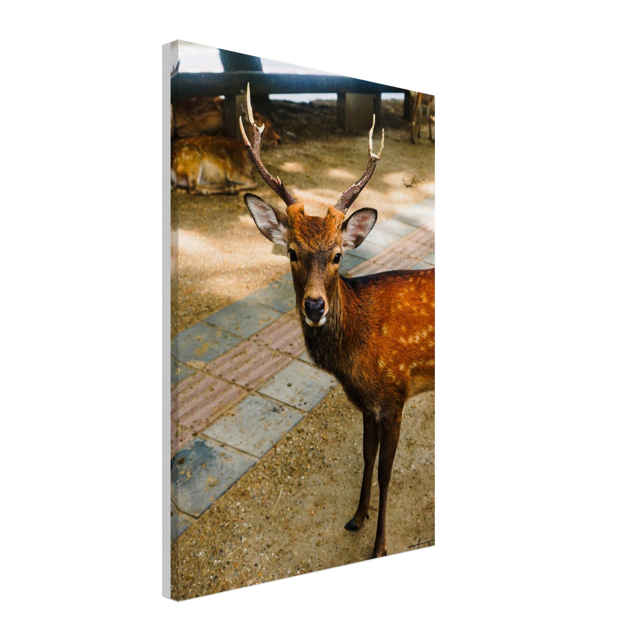 7686a334-aff6-48ae-8ec9-1ad8fe613e1e