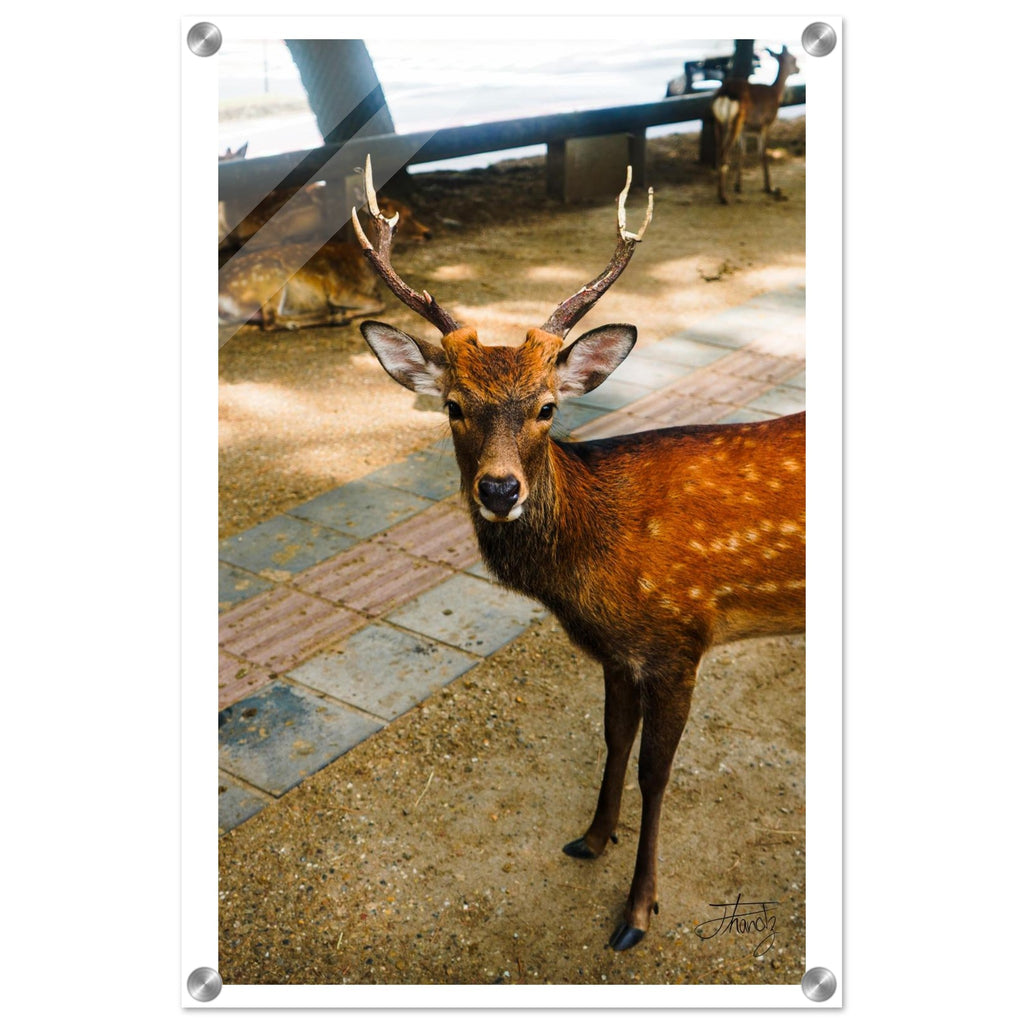 7f469e5f-edcb-4645-a85a-362dc04536f3