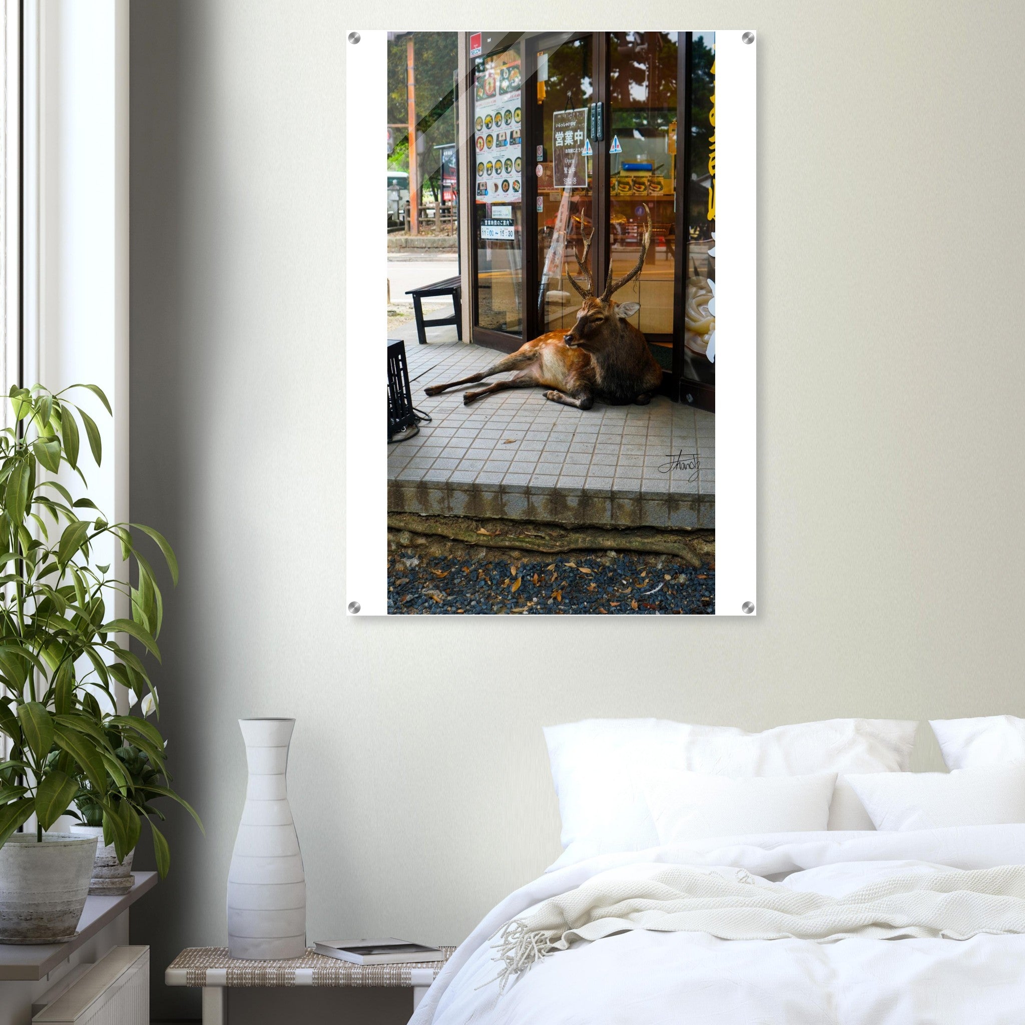 7f689369-6391-46e1-9040-88eceb4b24ed