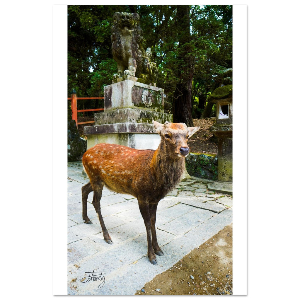 858a702f-c832-488e-a295-0df4a165974e