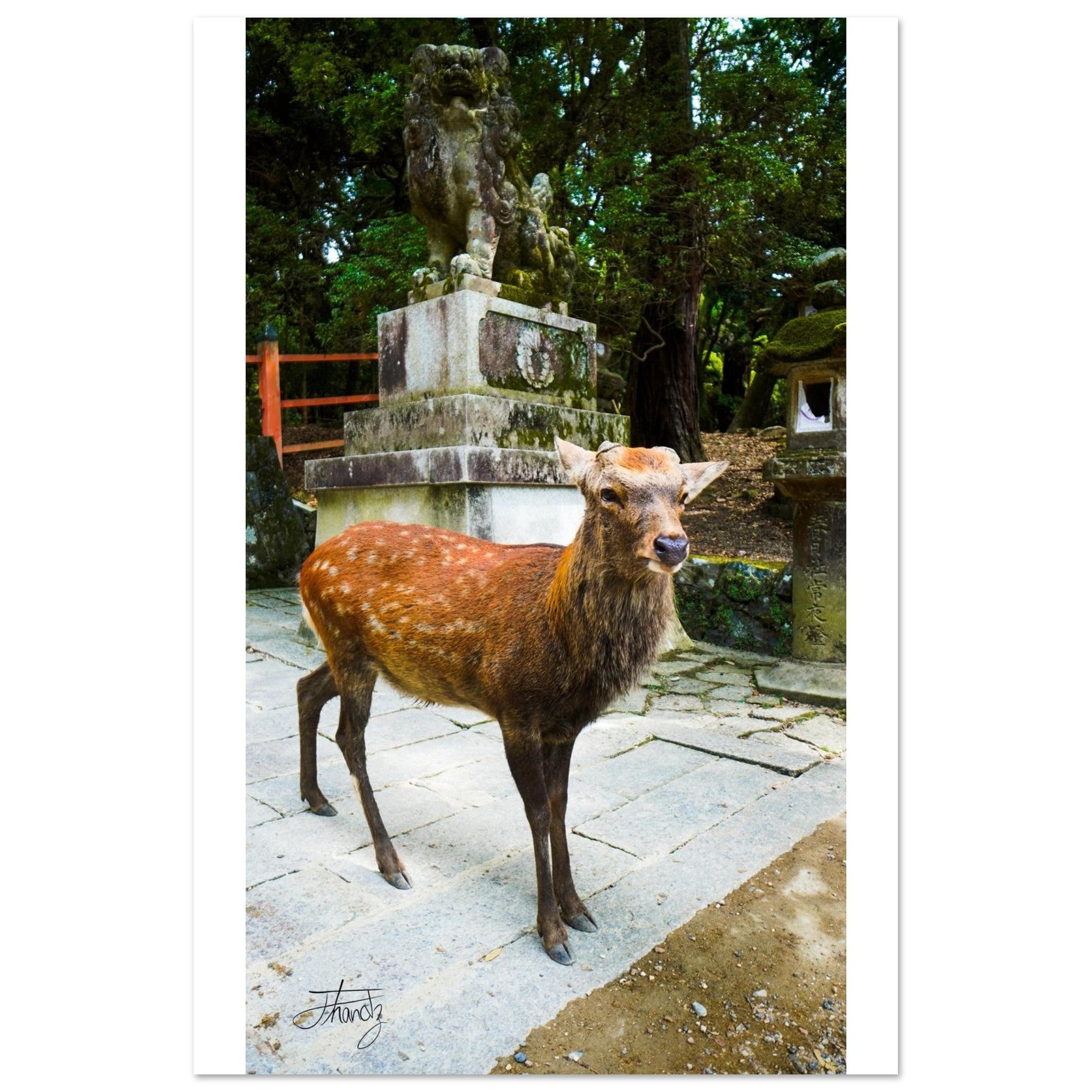 858a702f-c832-488e-a295-0df4a165974e