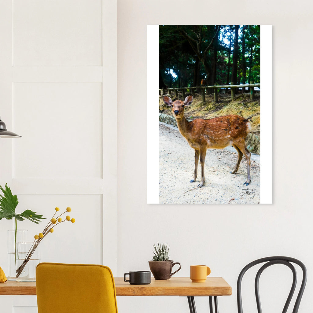 86fcf4f3-7f40-470c-af2f-dbc7a064429b