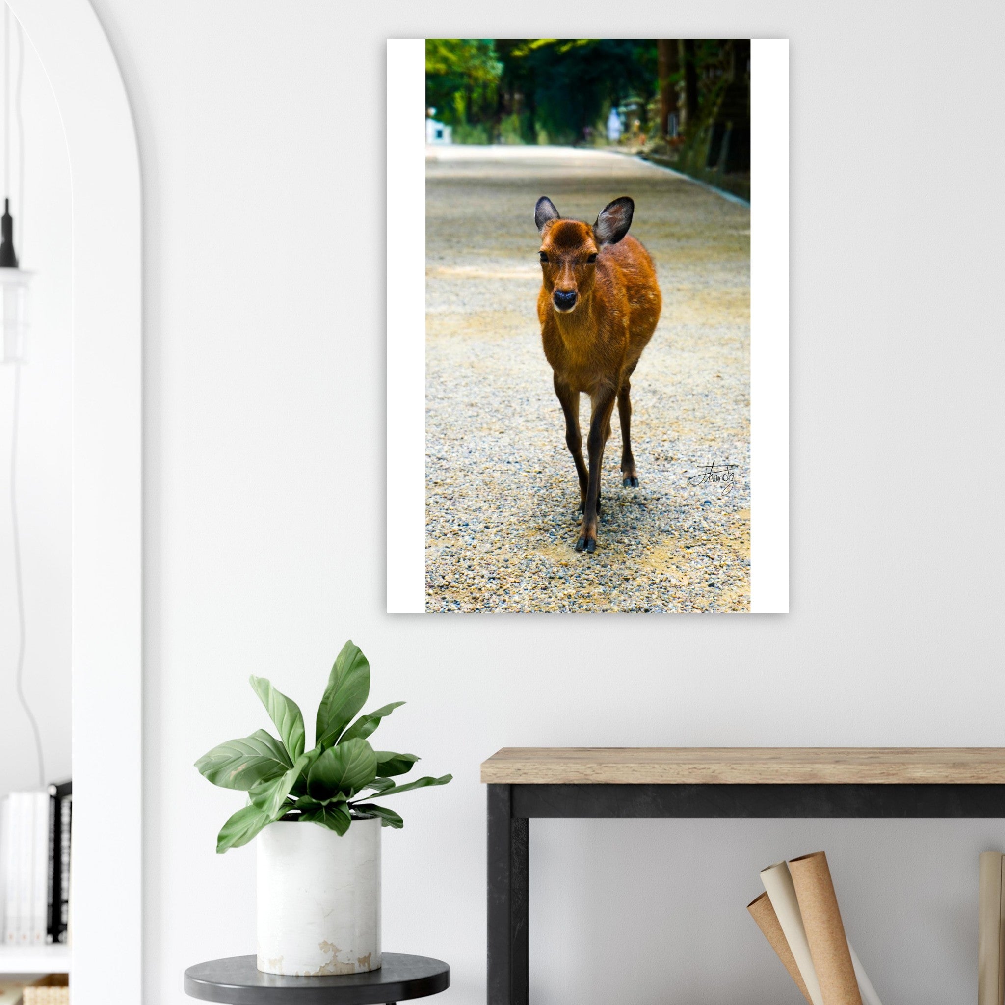 89cb2004-c90f-4922-9e42-88d434c48823