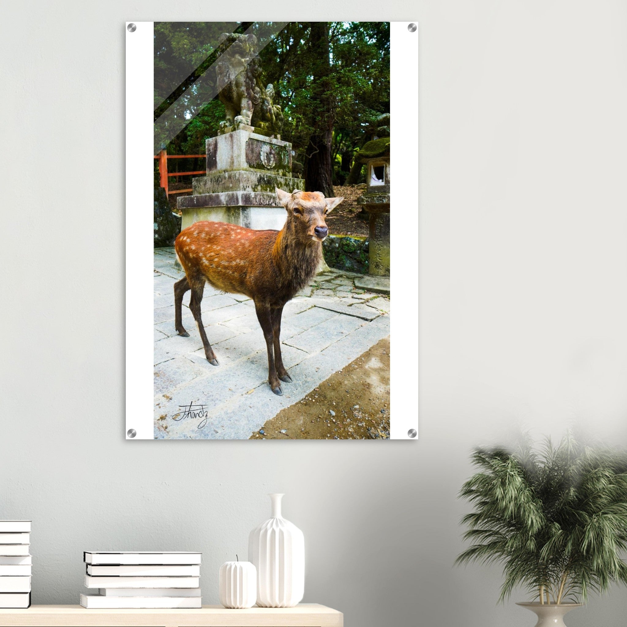 91bfc854-2fcd-47b8-9a61-8475a94b4337