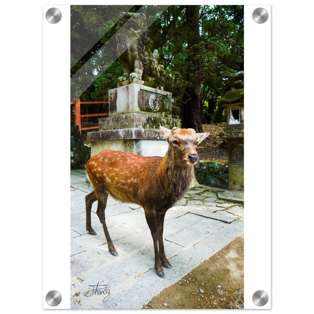 928988f1-b13b-48d8-a1c7-f8231224f2bf