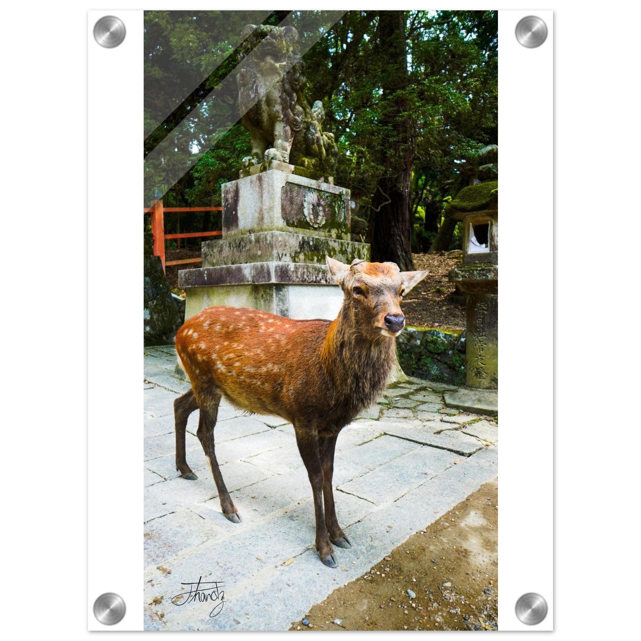 928988f1-b13b-48d8-a1c7-f8231224f2bf