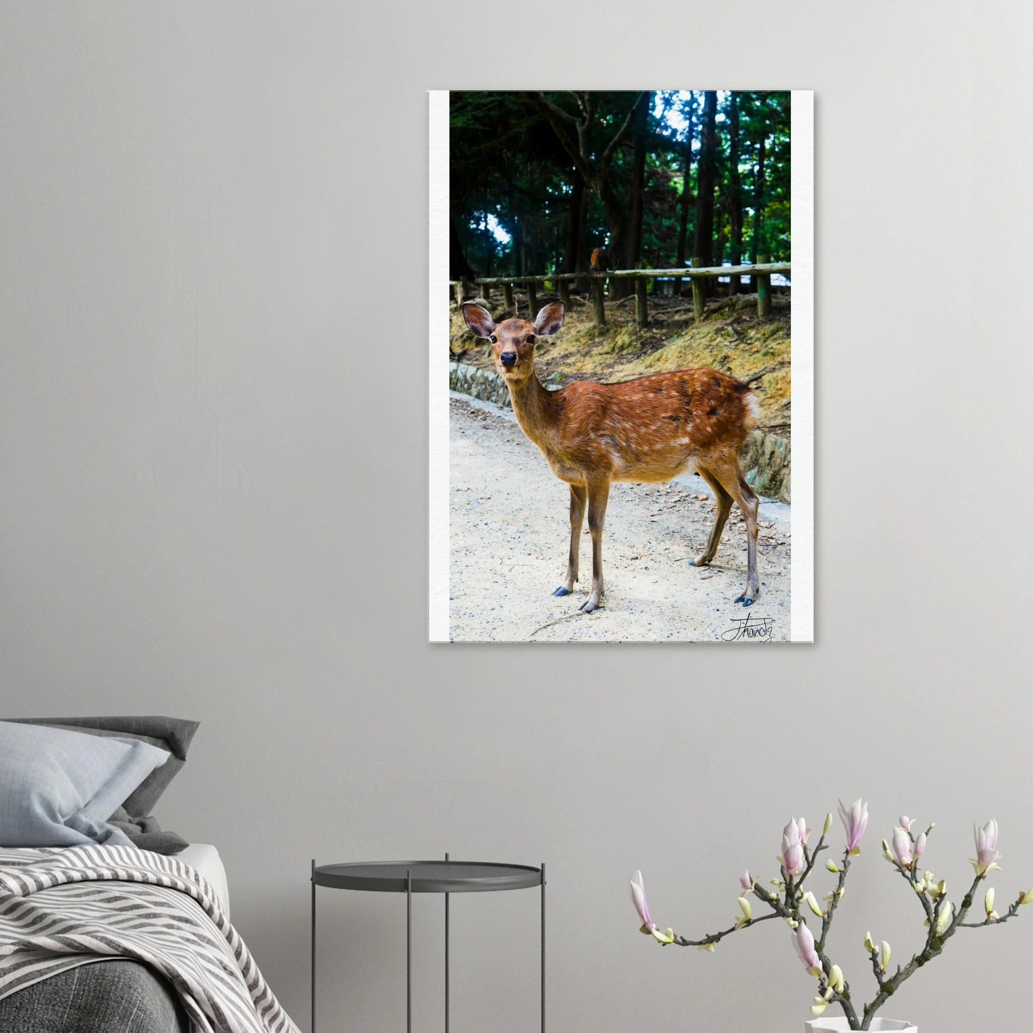 972ce2a6-c9dc-40b8-beb0-505d4622ec25