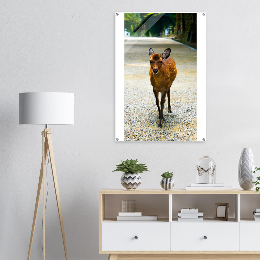 99ab3a17-b9fd-4842-aa5b-4ccd708d9e04