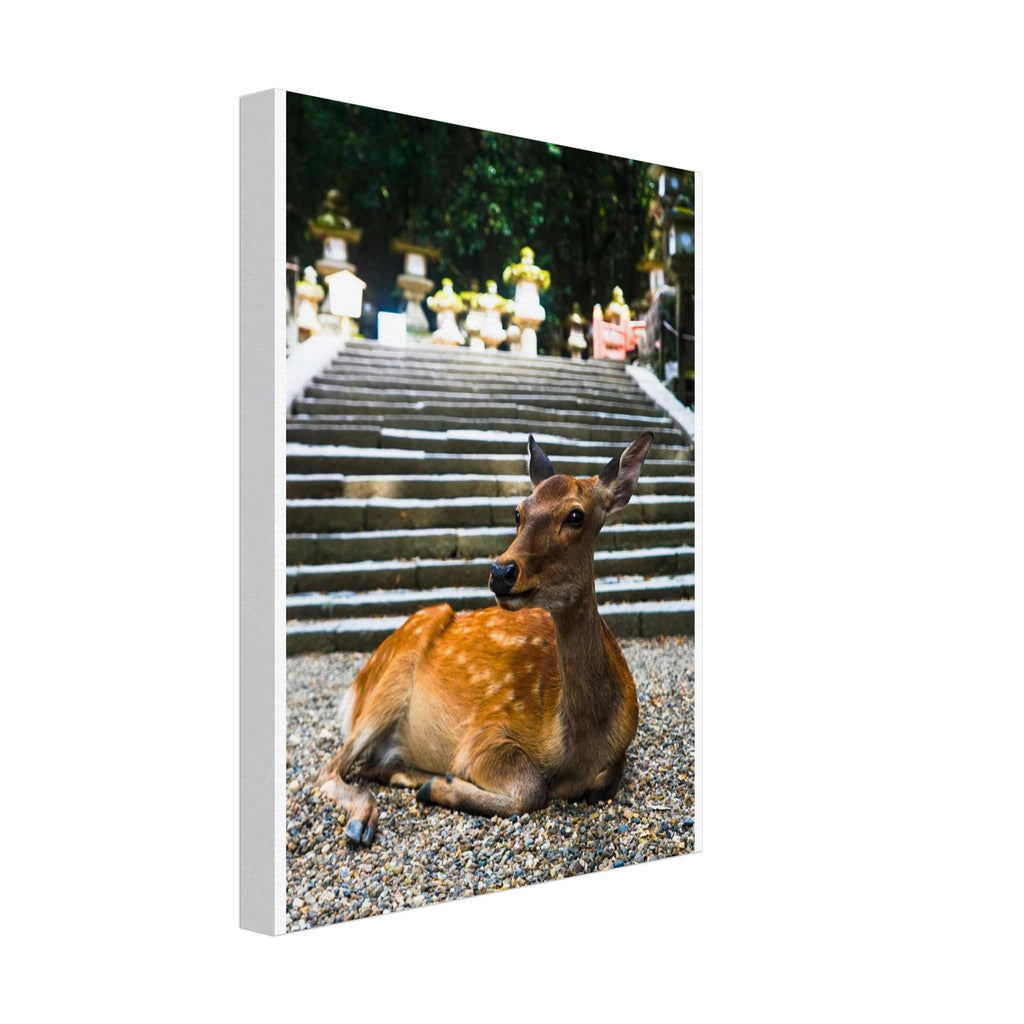 9aeae28f-da5a-49d1-9fc4-3ed26dd843ff