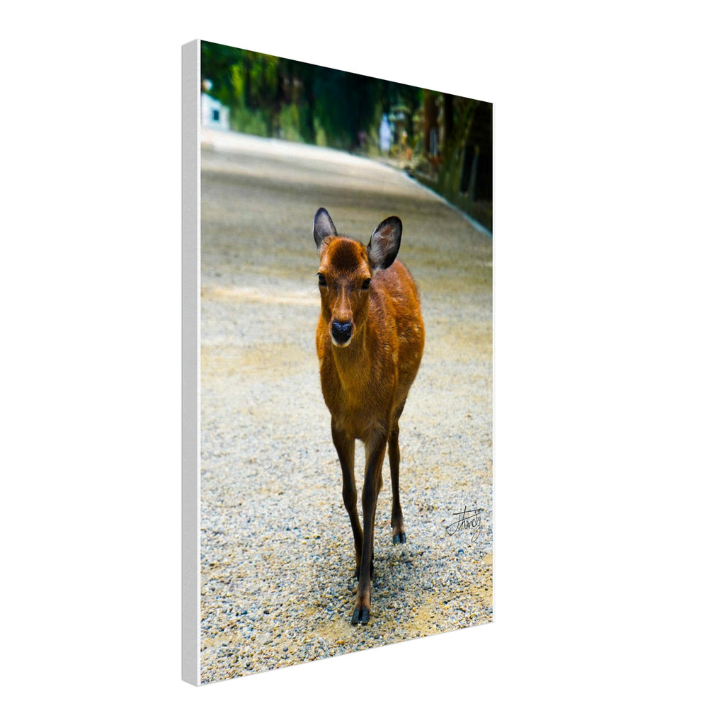 9e1994b5-db6e-4e5d-978d-b3486dacd55c