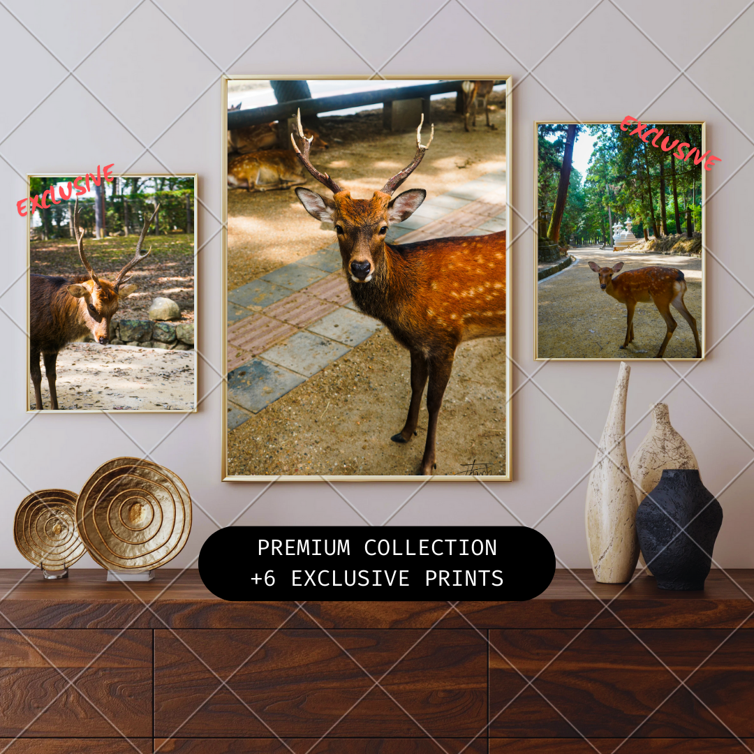 Wall art featuring deer prints on a wall with decorative vases below.
