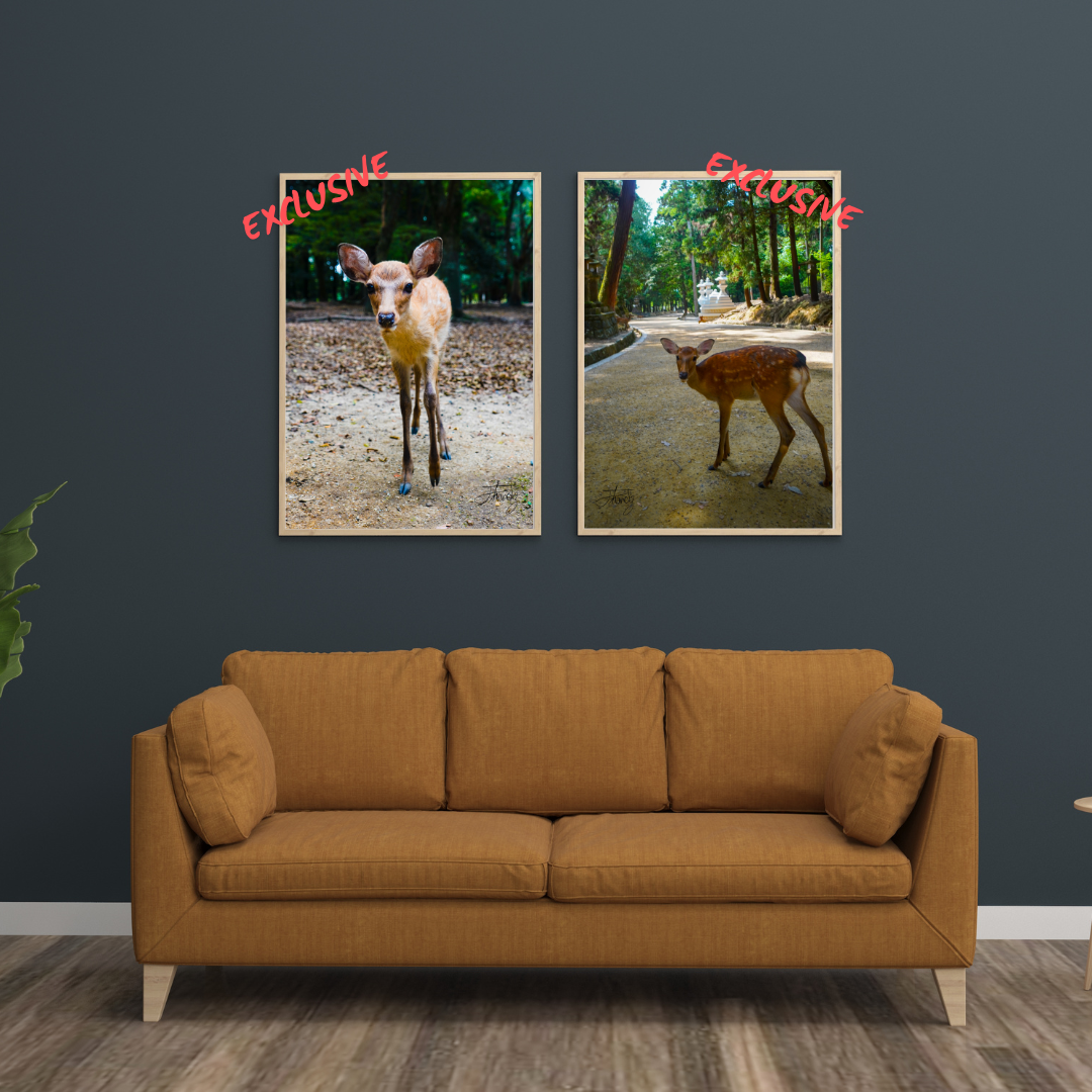 Nara Park Deer Collection – Premium Edition Bundle (12 A1 Prints)