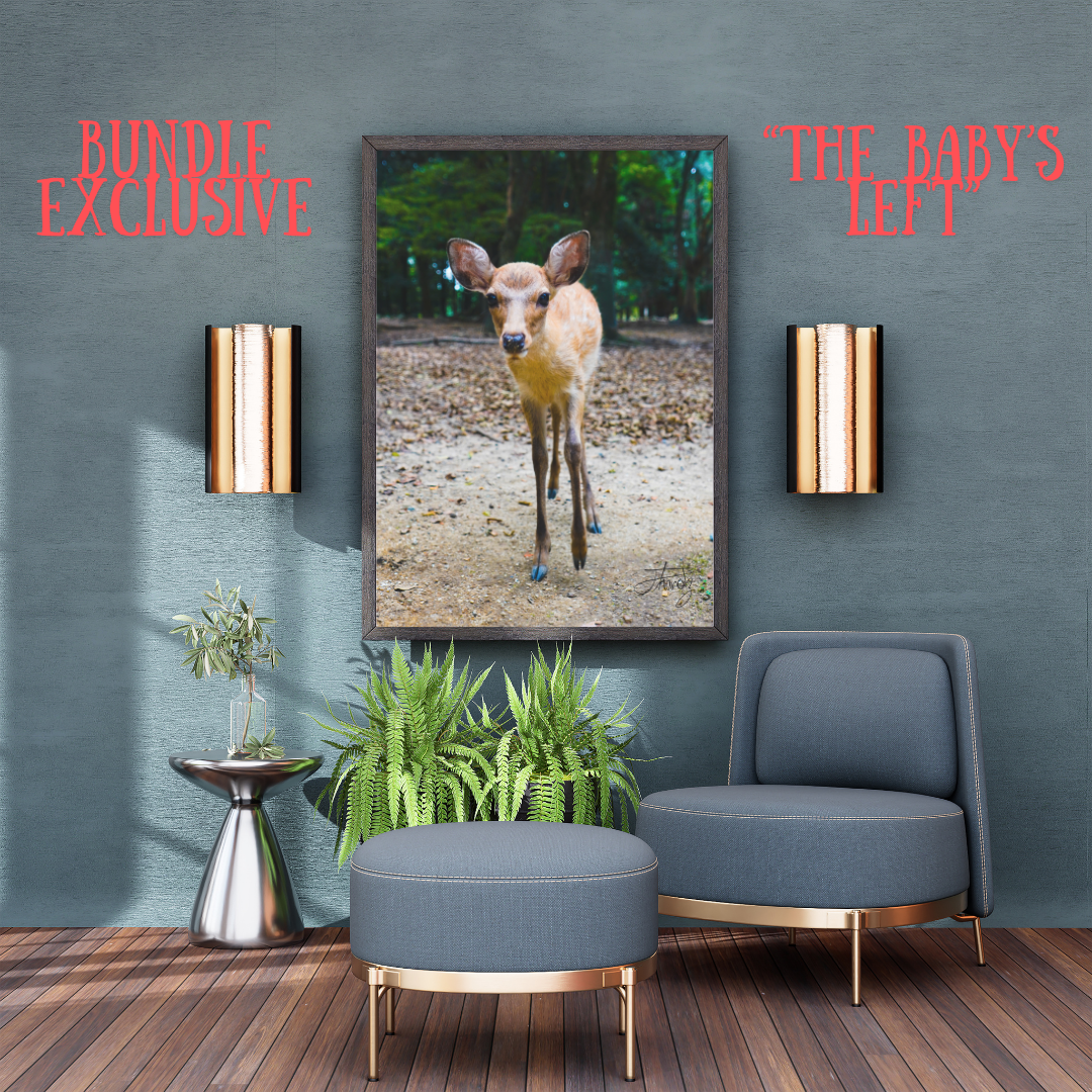 Nara Park Deer Collection – Premium Edition Bundle (12 A1 Prints)