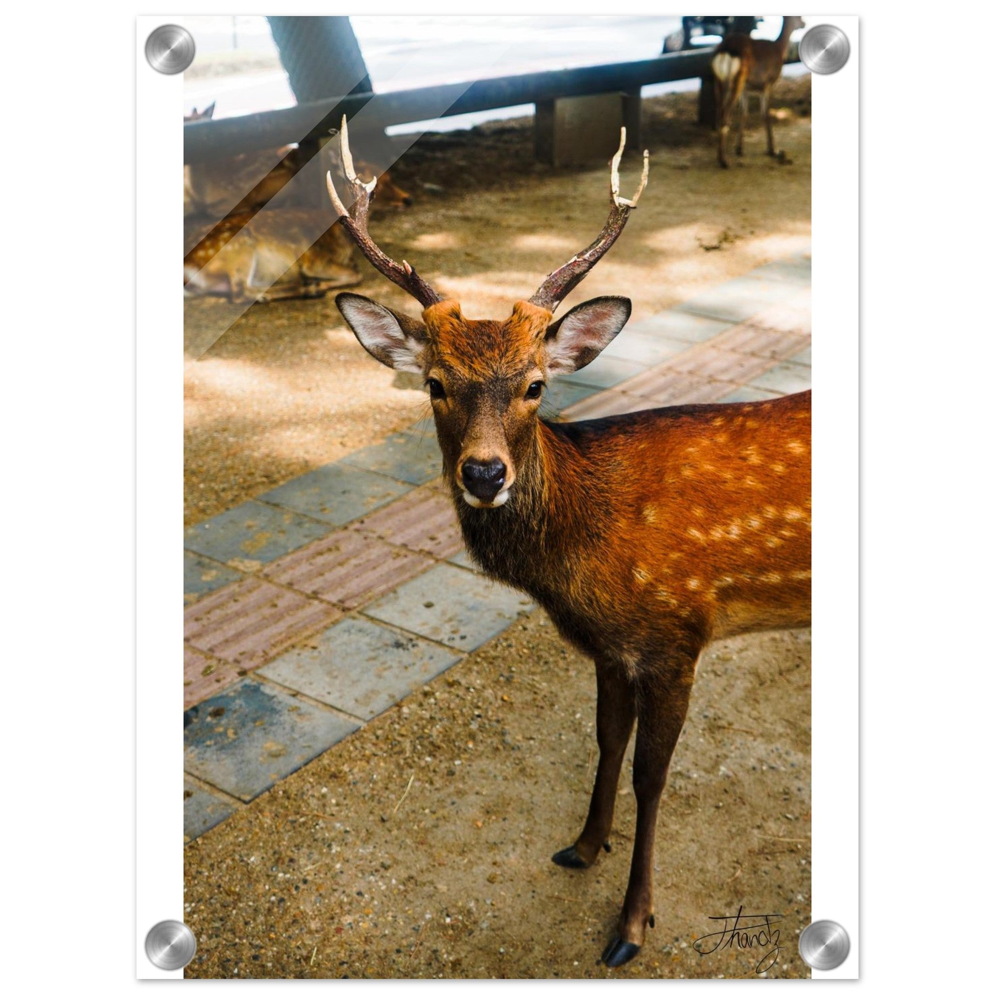 a1111d62-5d35-4130-91e2-cc939bbba3b1