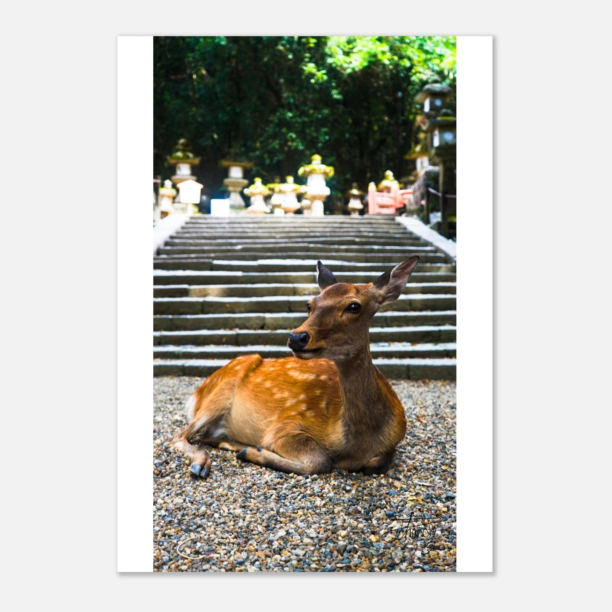 a1ddc7b5-e1a3-42f6-9d7f-7289547fb53e