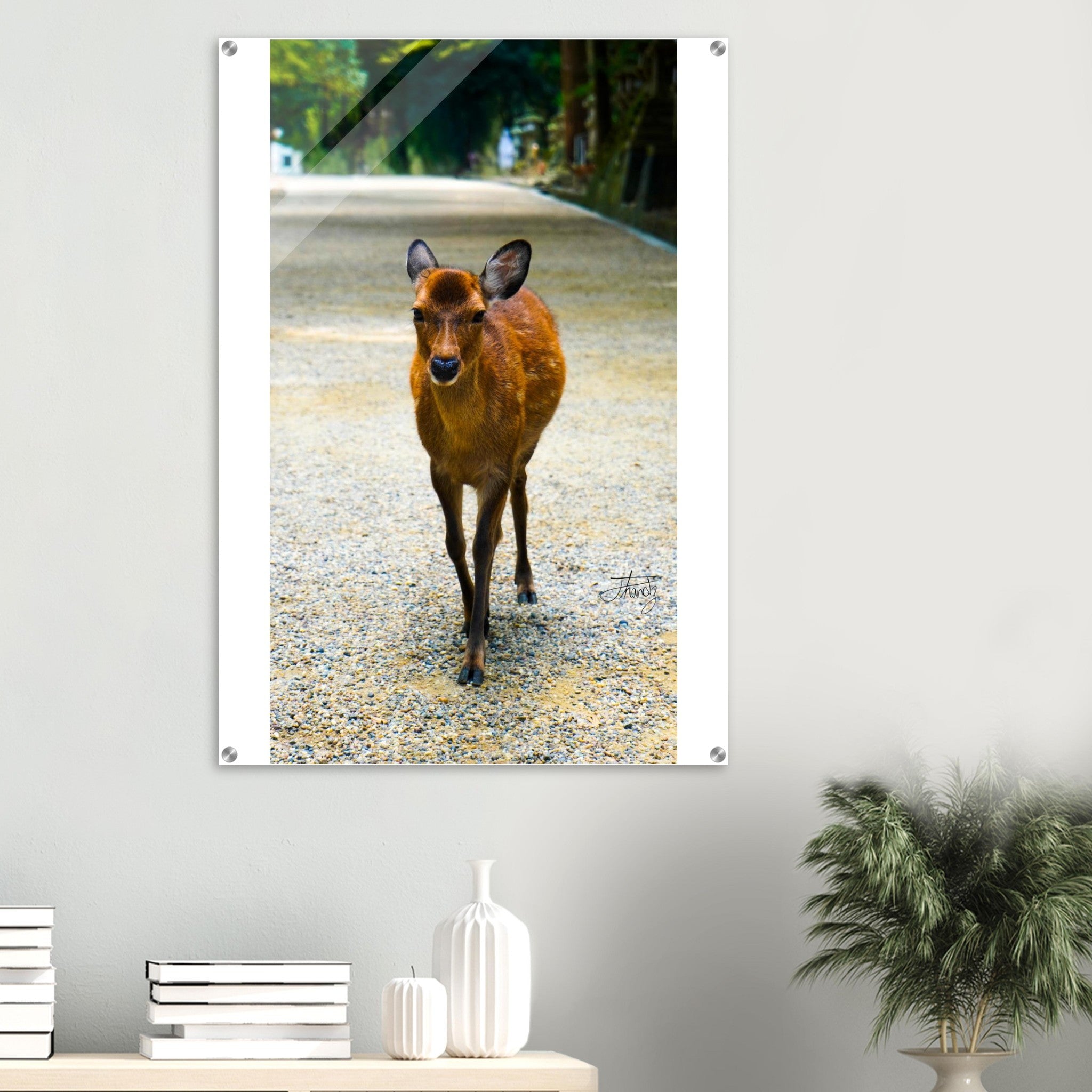 a2657013-354c-4588-bd28-9414188d2af2