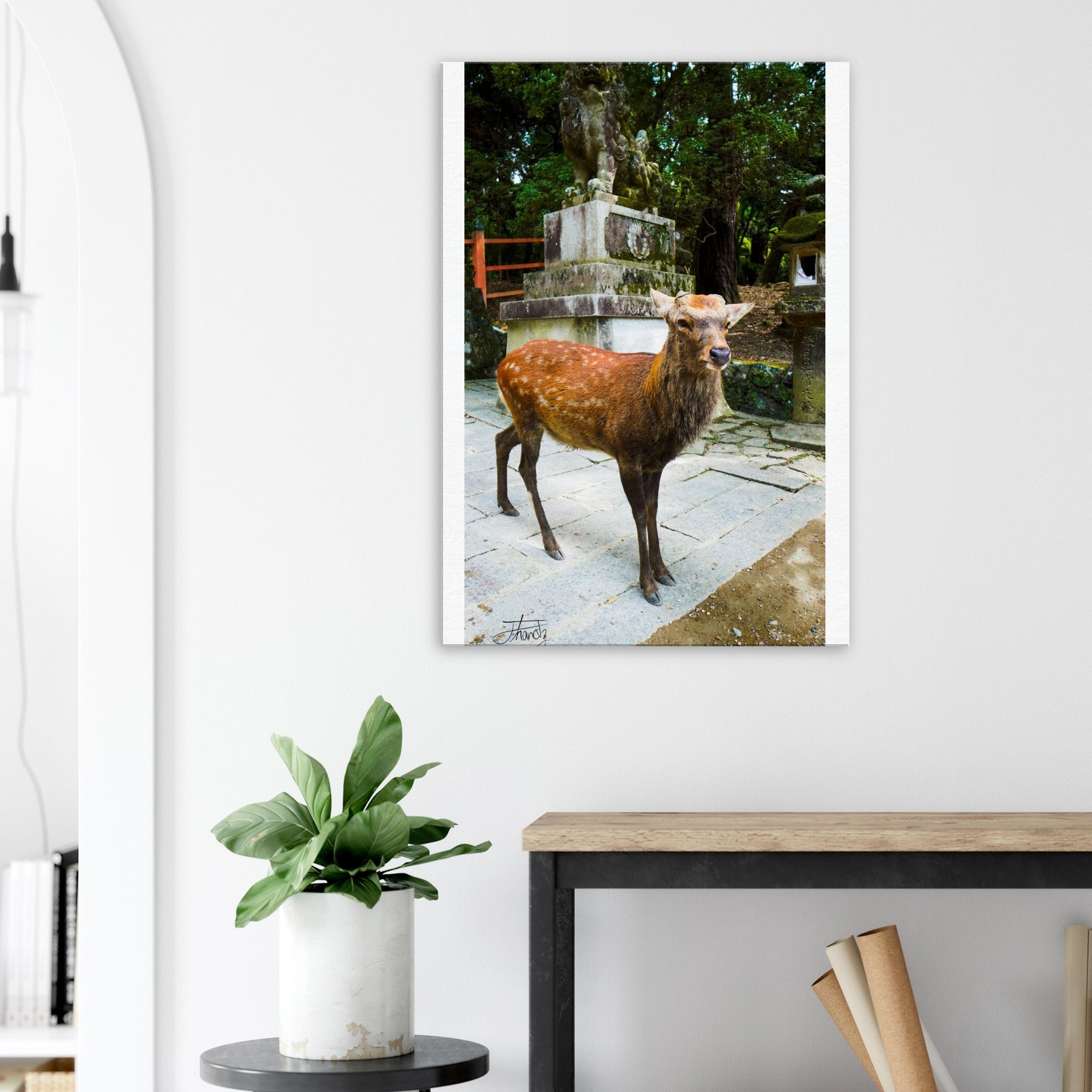 a3623f0a-aca2-4fa3-be83-86390a946ee5