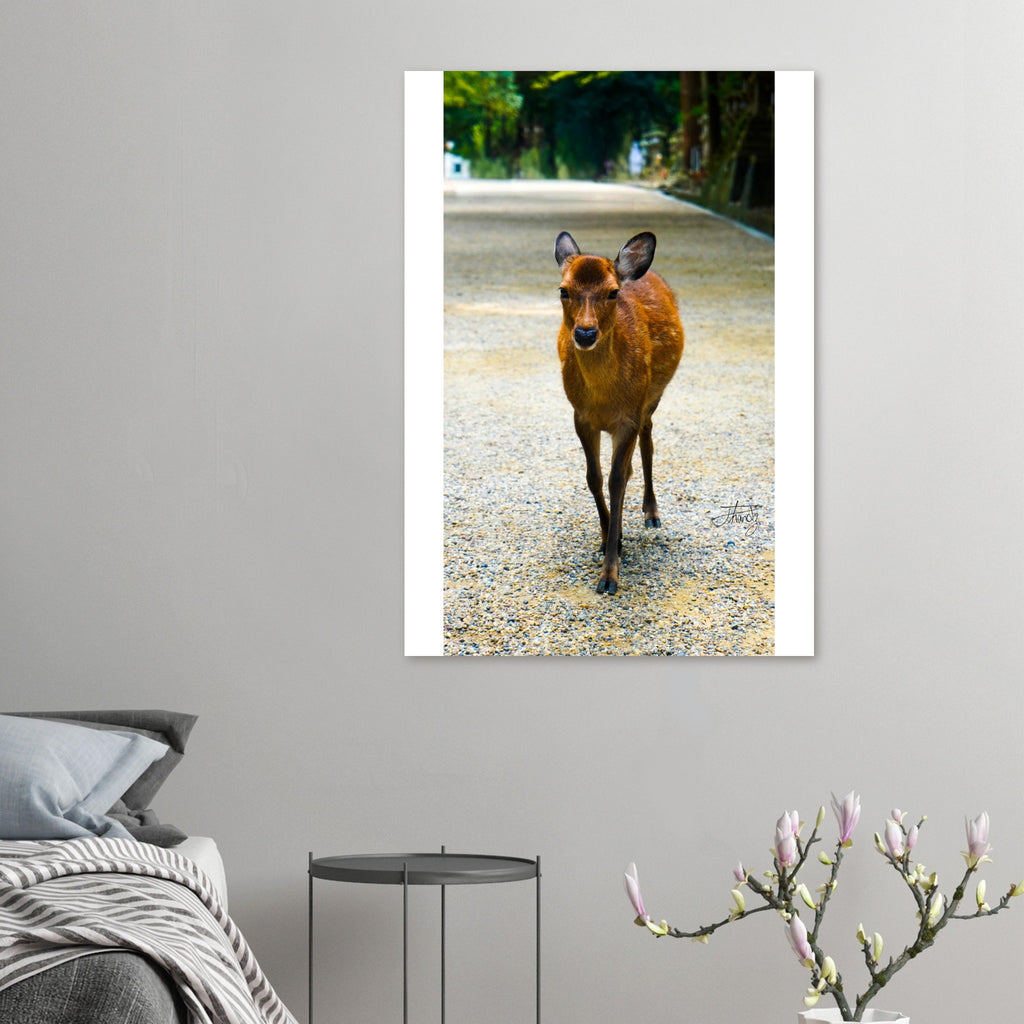 a4e5483b-4259-4071-b7b3-172aad27cda2