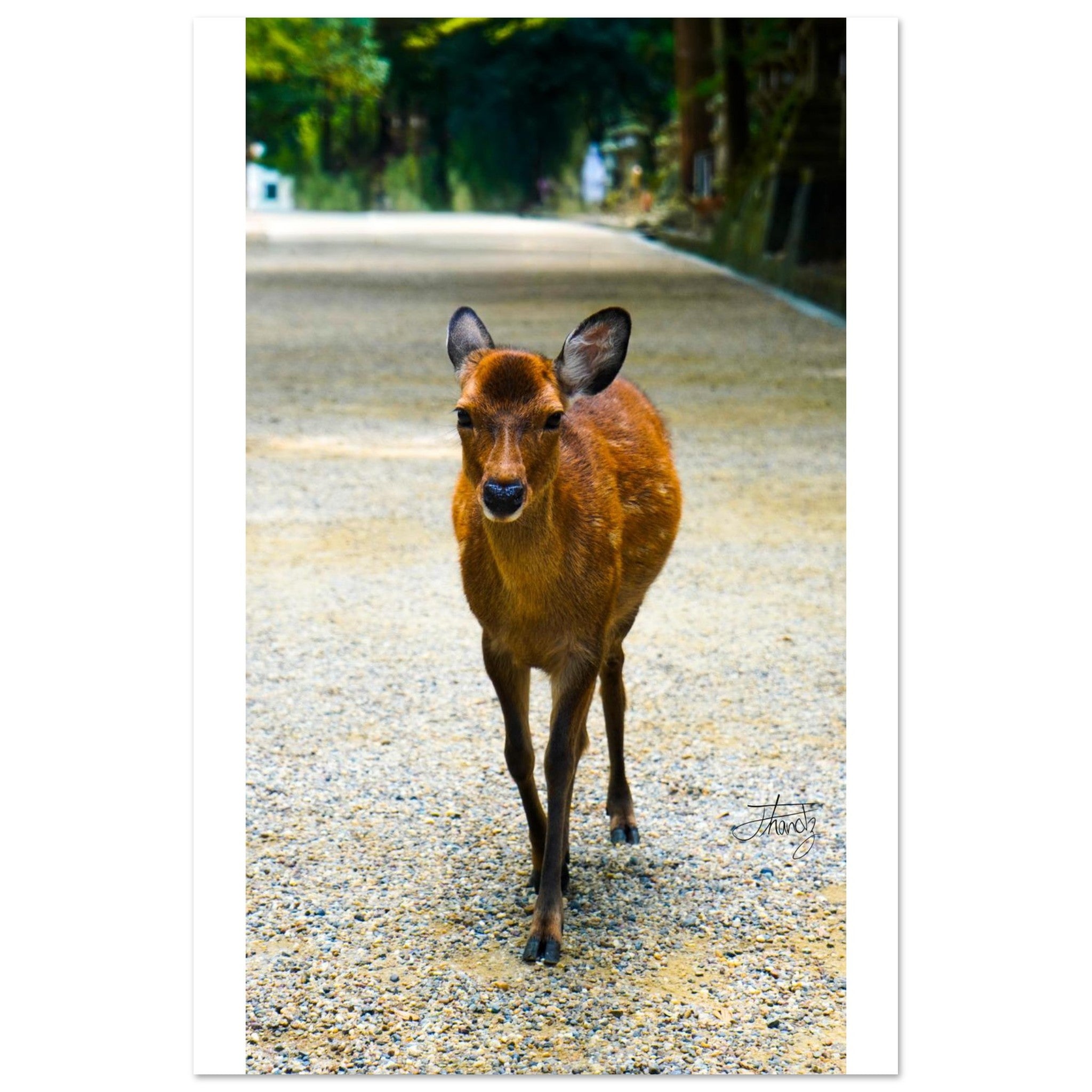 aa2fdc96-d5b8-48c4-877d-3e41e2c8e060