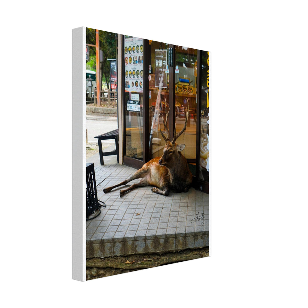 ac288292-87ba-4dec-b8c2-9ea1d9ff6168