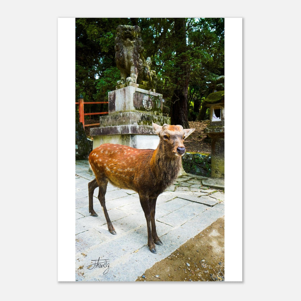 acc57944-5cb7-4d50-9998-86d73efef340