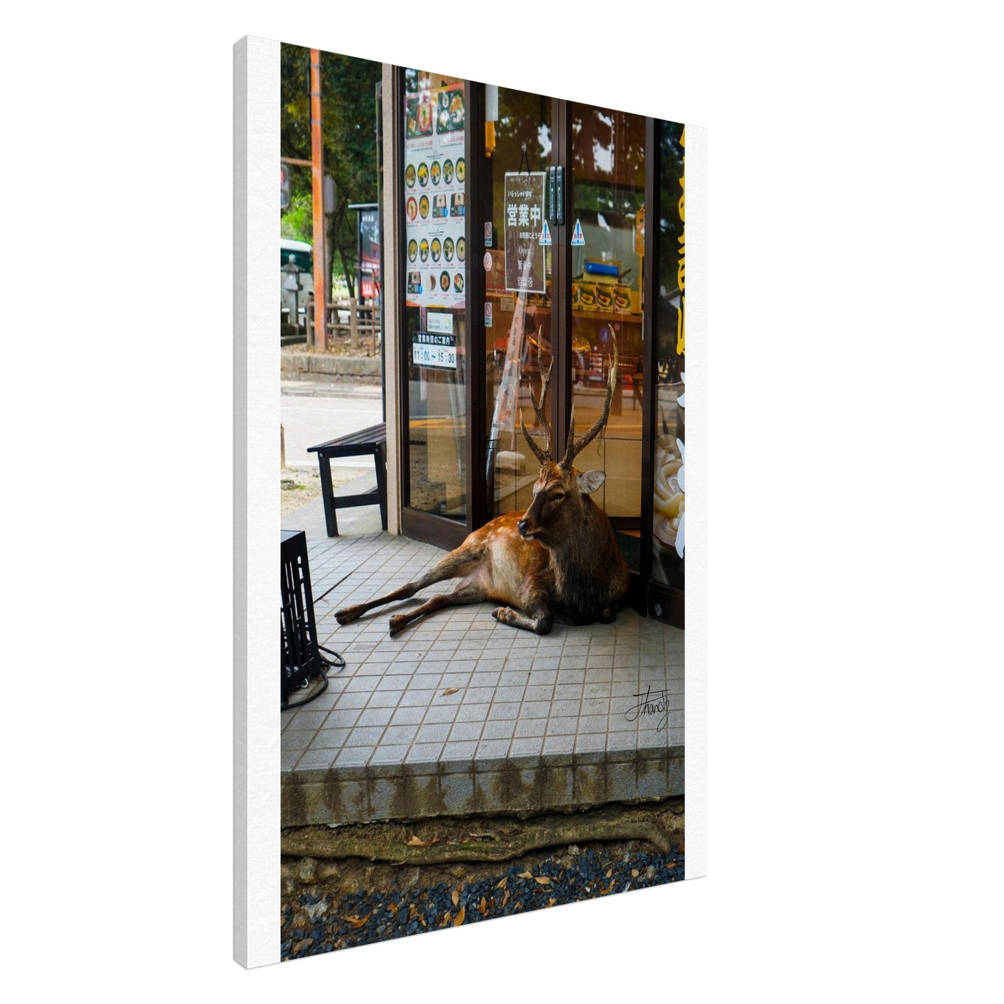 ad74b7b0-e669-4f8e-a57e-d398740c78db