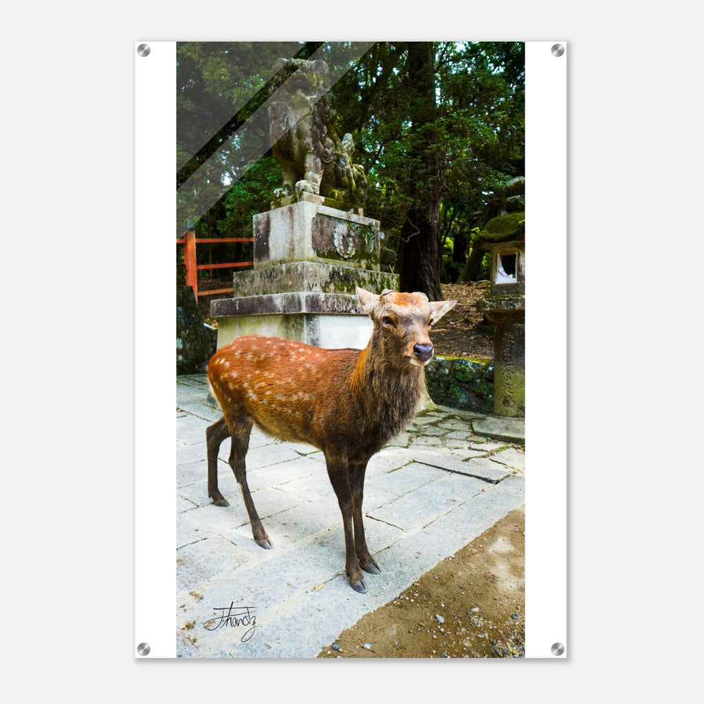 ae16687c-3915-420c-9ae2-1c4a9f6dc697